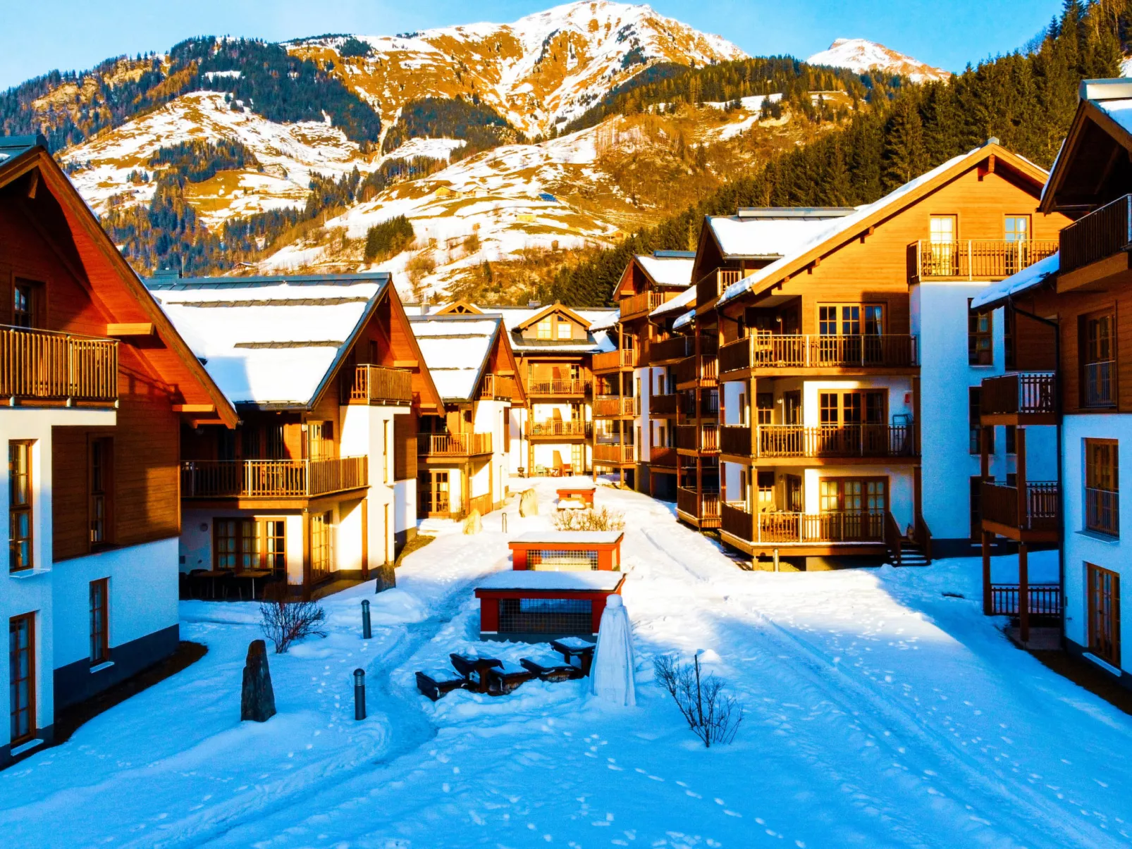 Schönblick - Daniela1