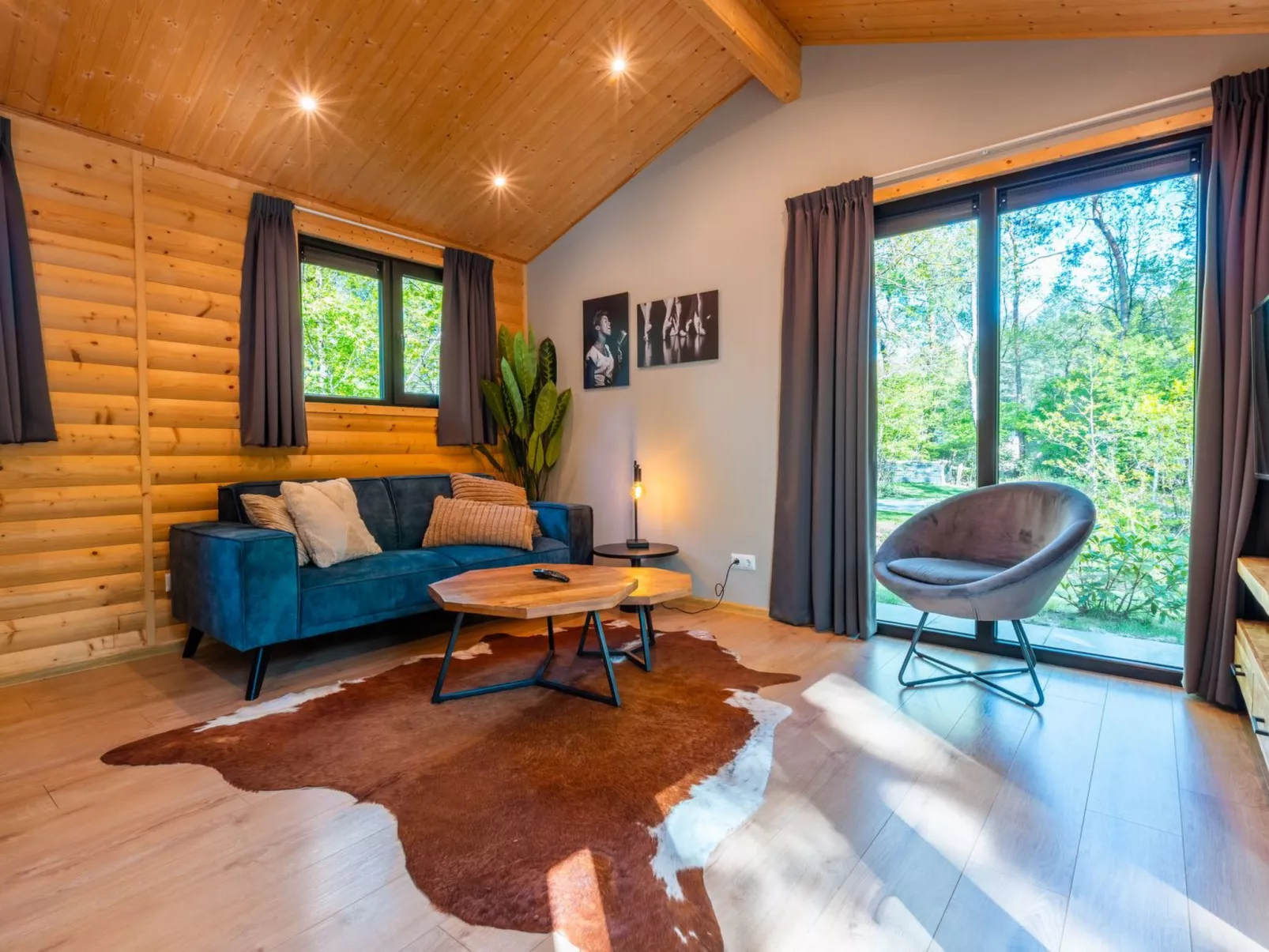 Vakantiepark De Wiltzangh - Sterrenborg Lodge - Dedans