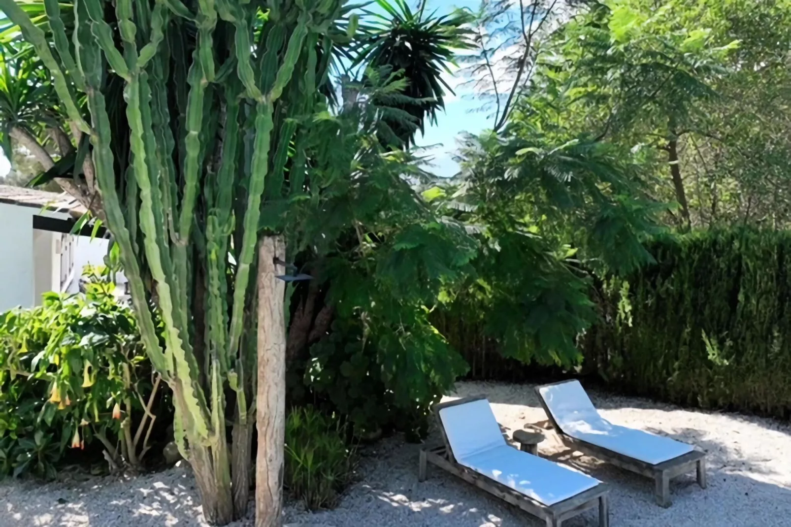 Finca de Piedra-Gardens summer