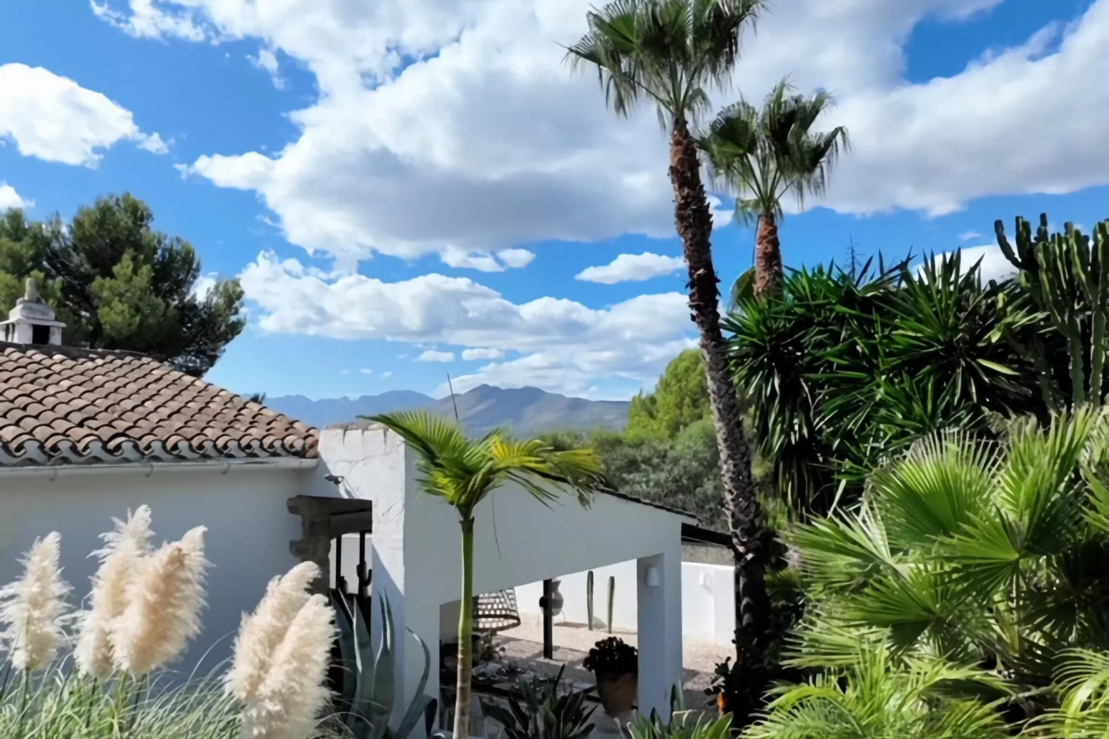 Finca de Piedra-Gardens summer