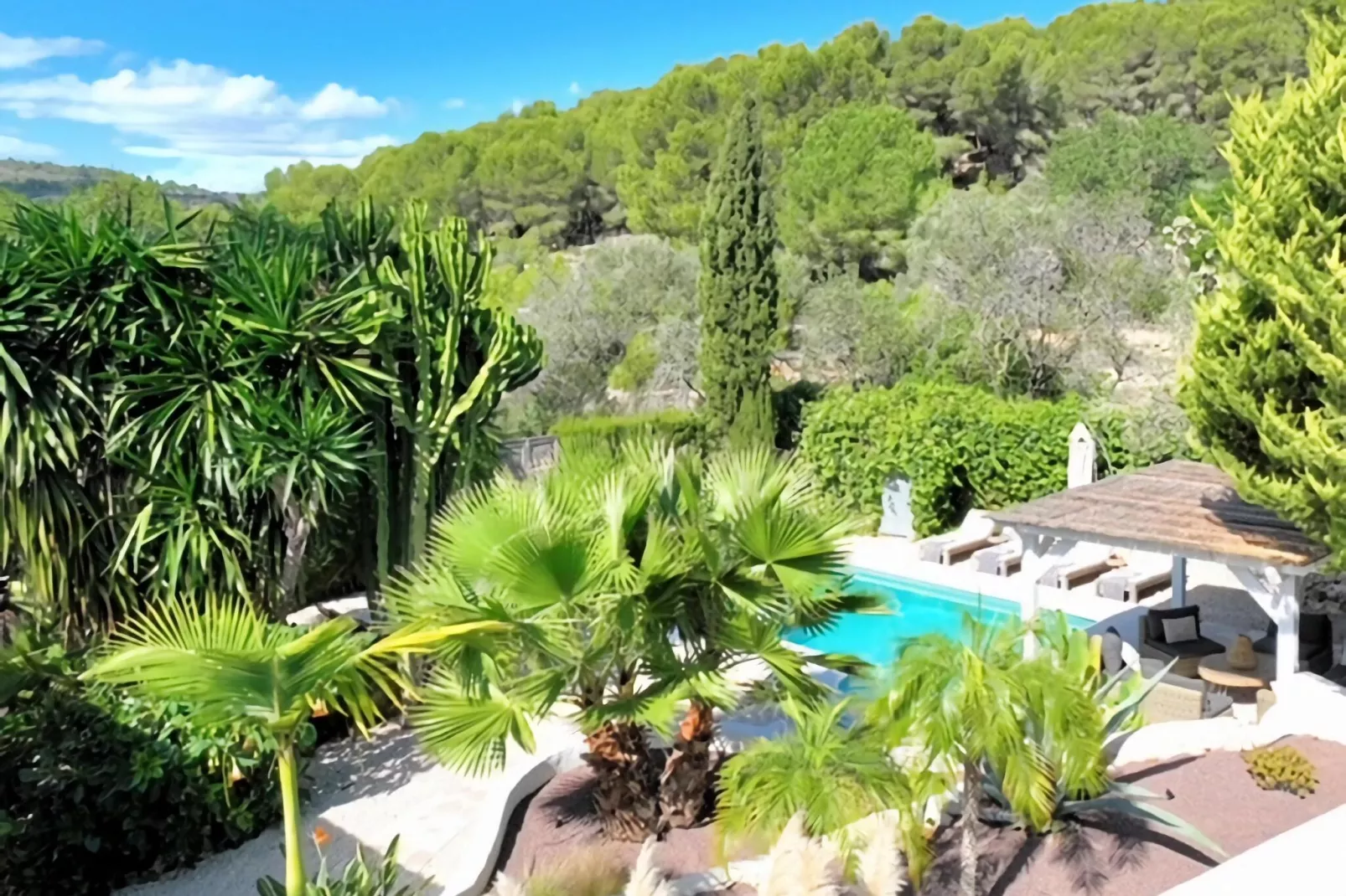 Finca de Piedra-Areas summer 1km