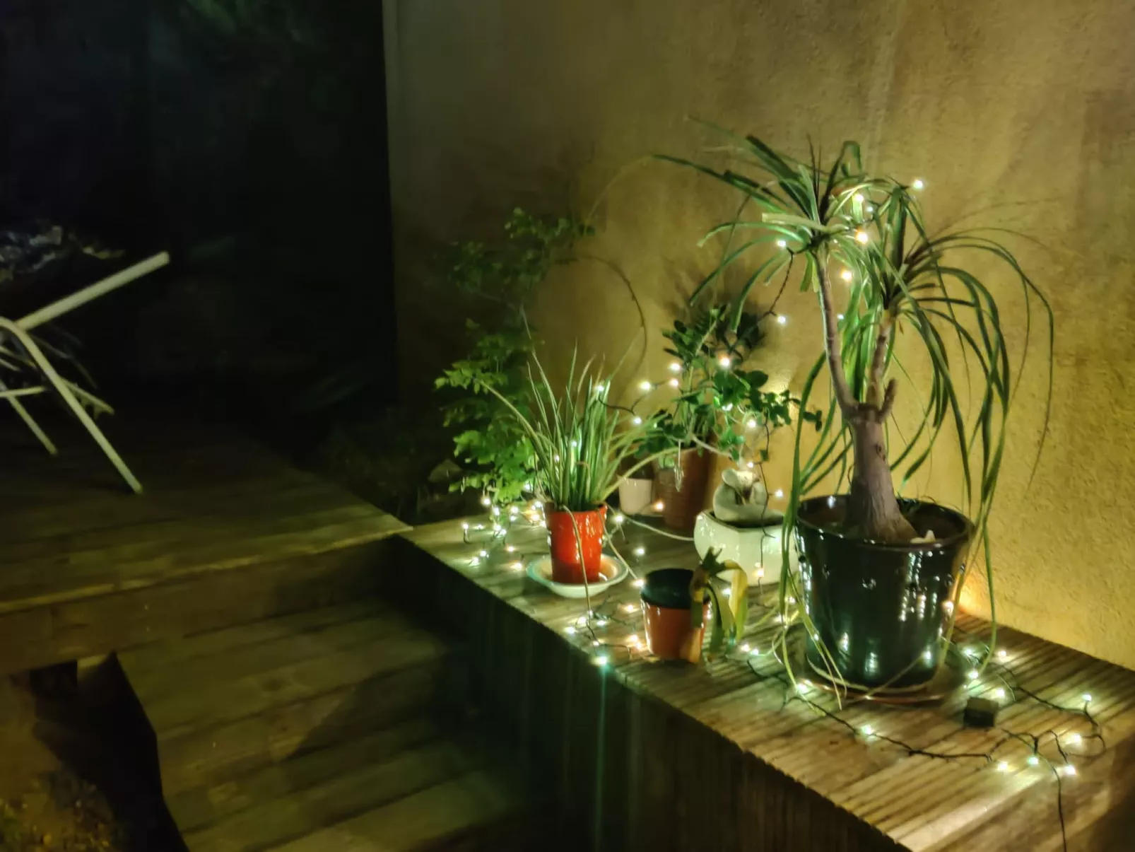 Villa Perroquet - Outside