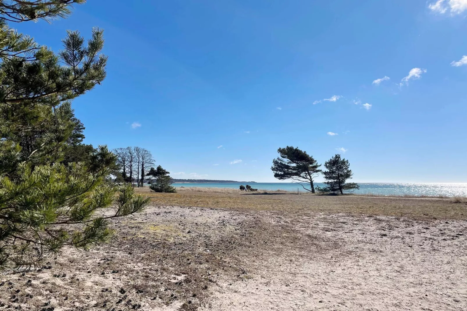 5 Sterne Ferienhaus in Gotlands Tofta - Nicht zugeordnet