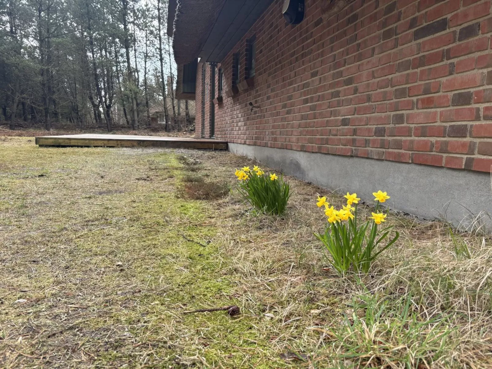 "Ullamaj" - 700m from the sea - Draußen