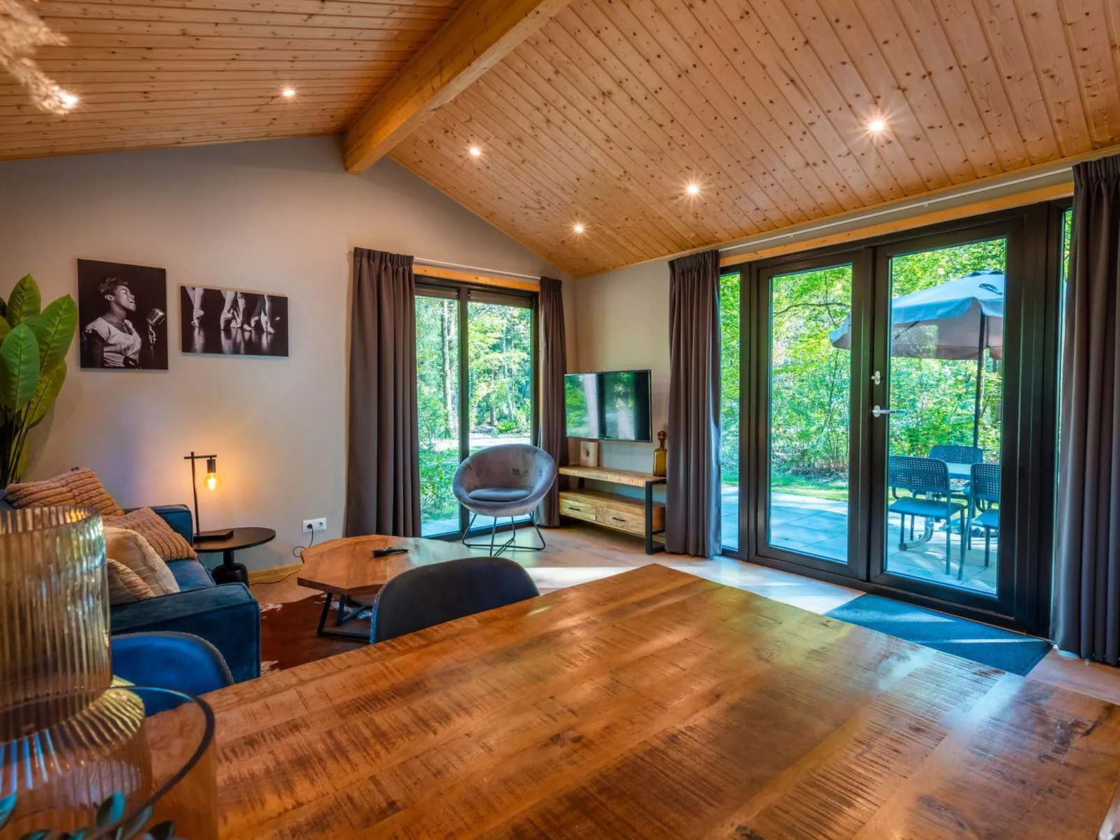 Vakantiepark De Wiltzangh - Sterrenborg Lodge - Dedans