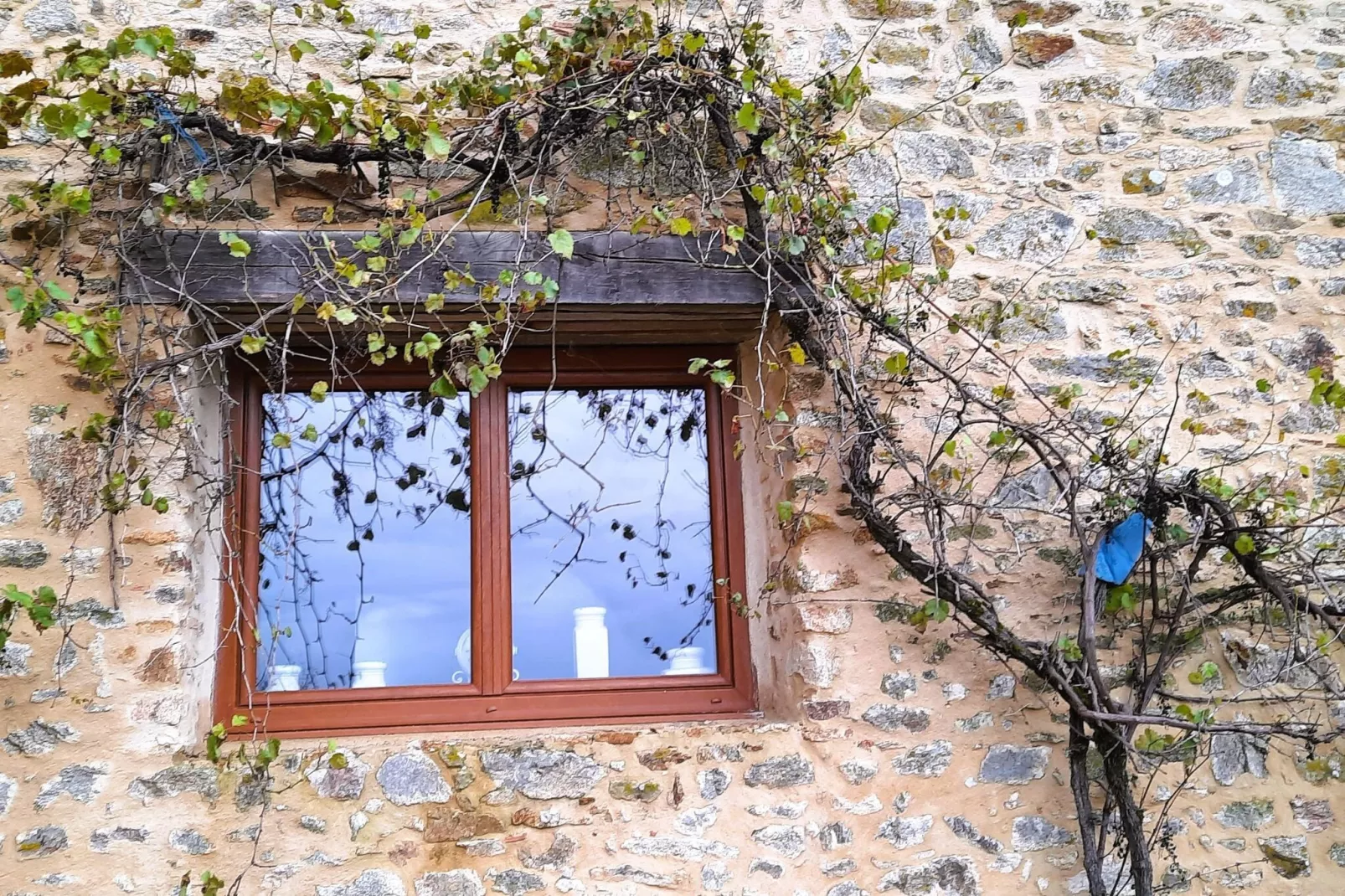 16 Chez Rambaud-Exterior summer