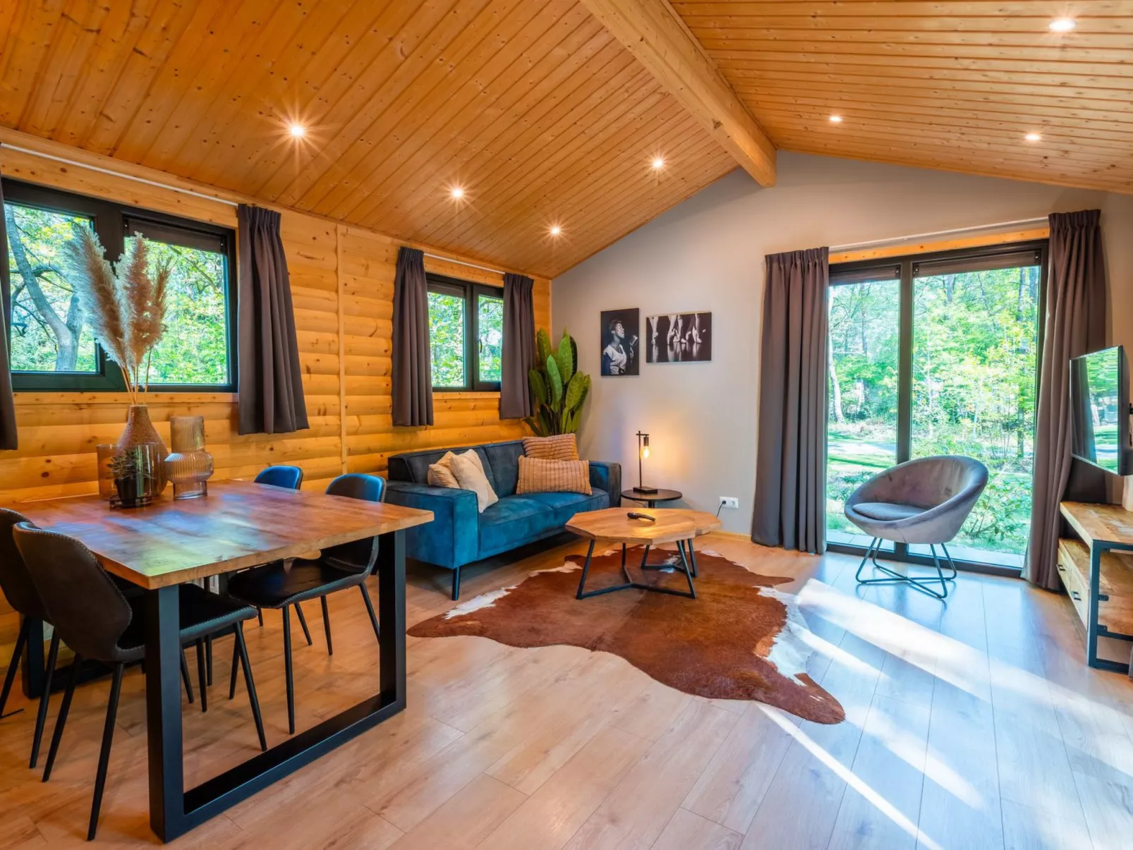 Vakantiepark De Wiltzangh - Sterrenborg Lodge - Dedans