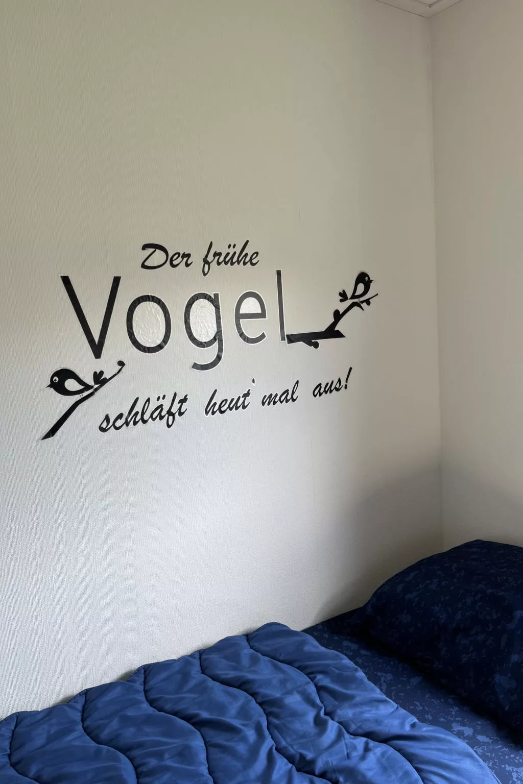 ZP 490 - Camping de Zandput - Inside