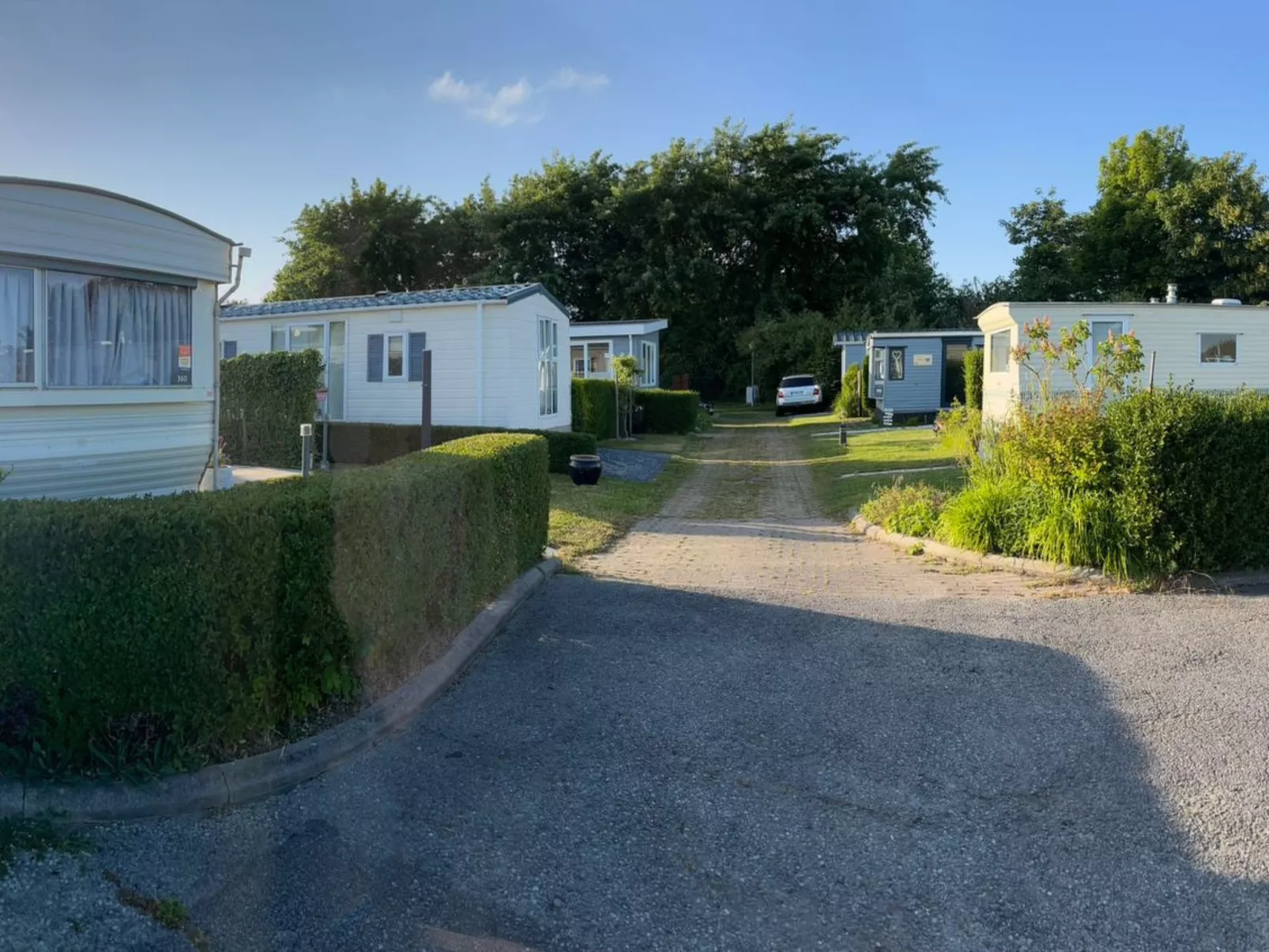 ZP 360 - Camping de Zandput - Dehors