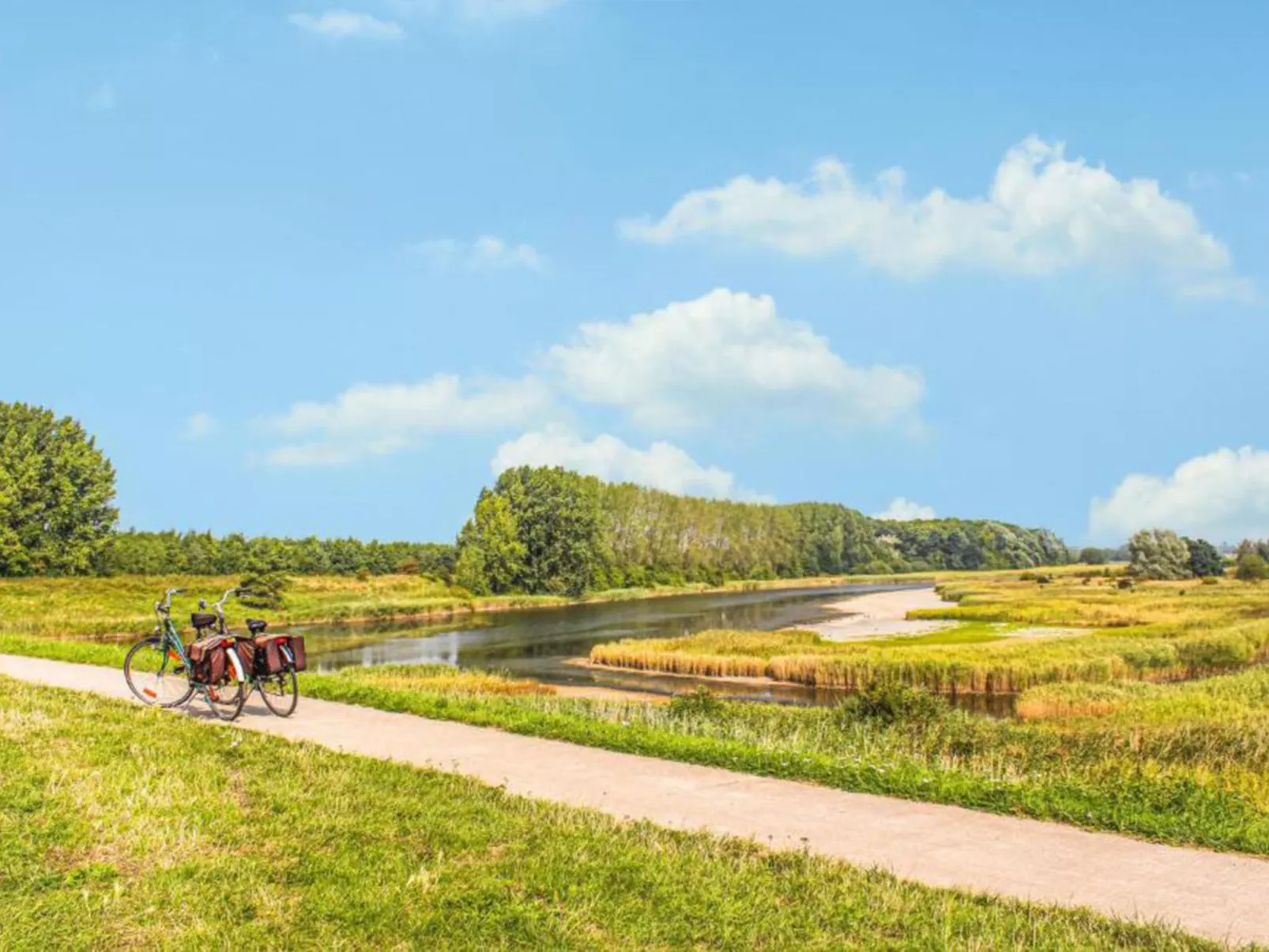 Vakantiepark de Zeeuwse Parel - De Witte Parel - Draußen