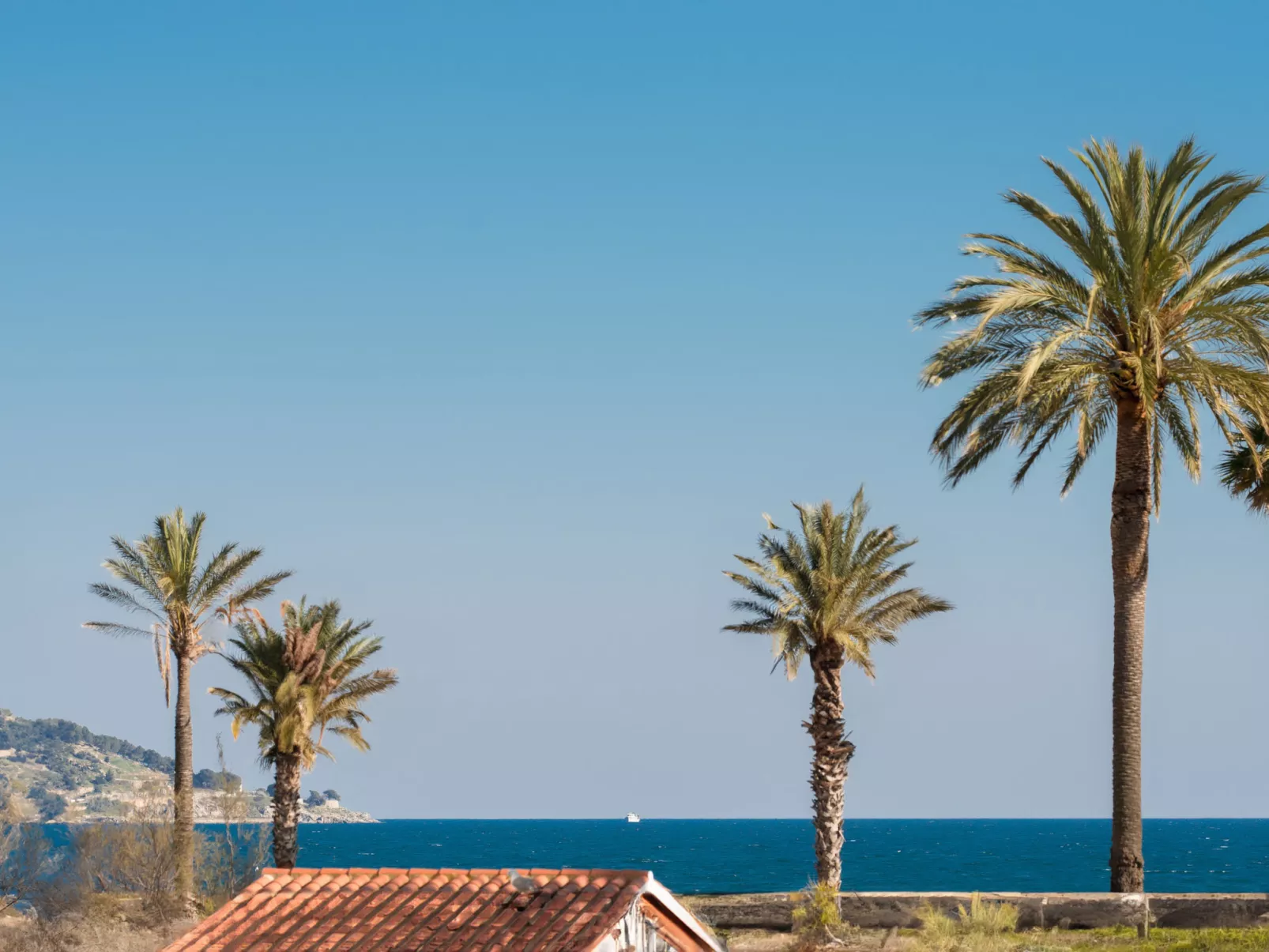 WELCS APARTAMENTO 224 EMP con TERRAZA - Draußen