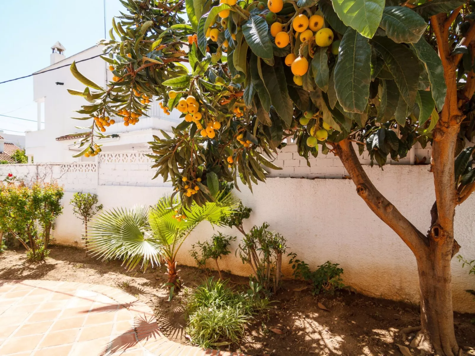 Los Pinos 23 Villas by Casasol - Outside