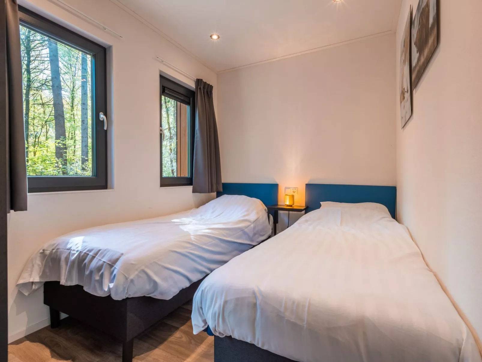 Vakantiepark De Wiltzangh - Zandborg Lodge - Drinnen