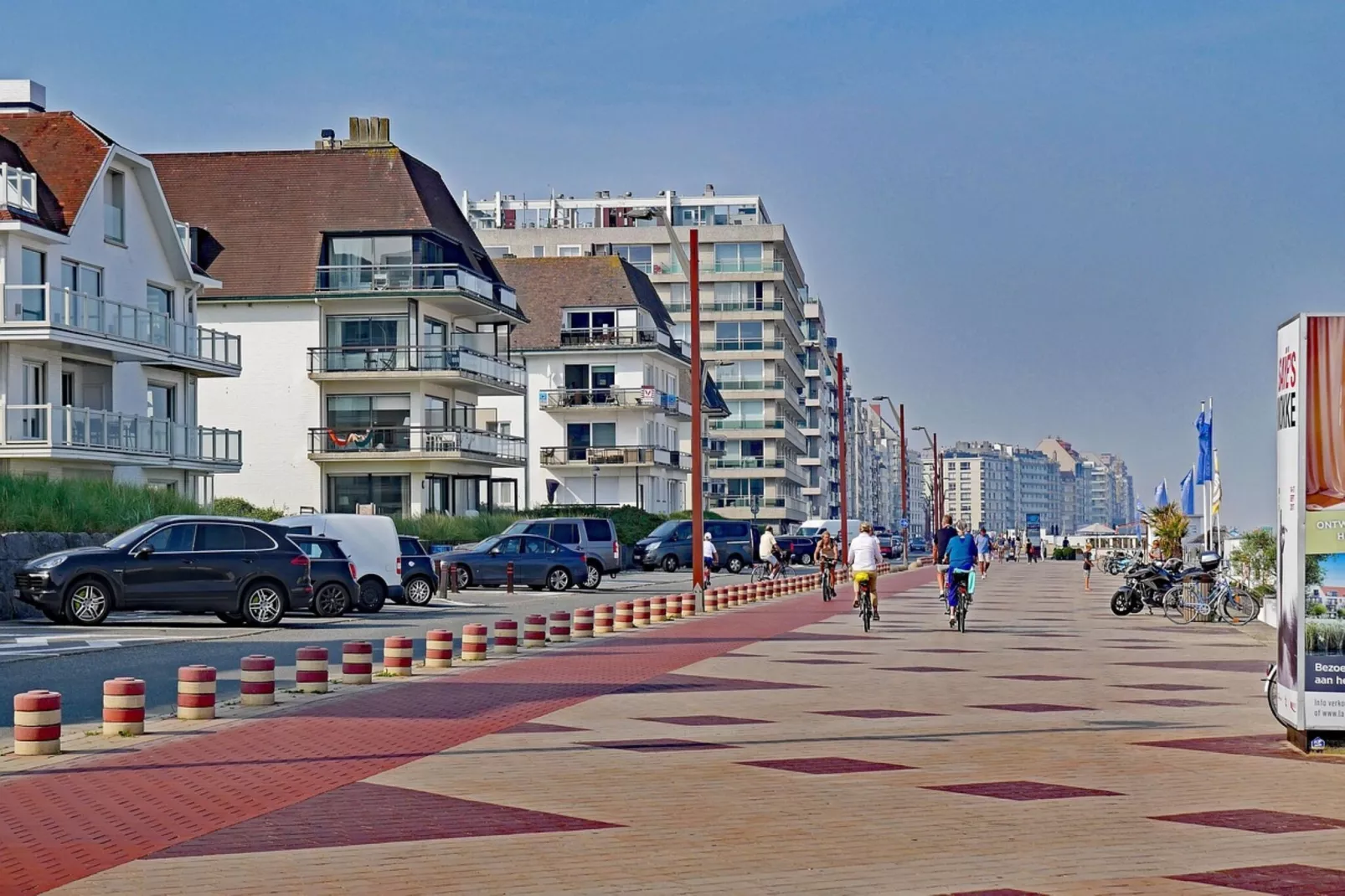 Queens 81 - Areas within 1km in summer