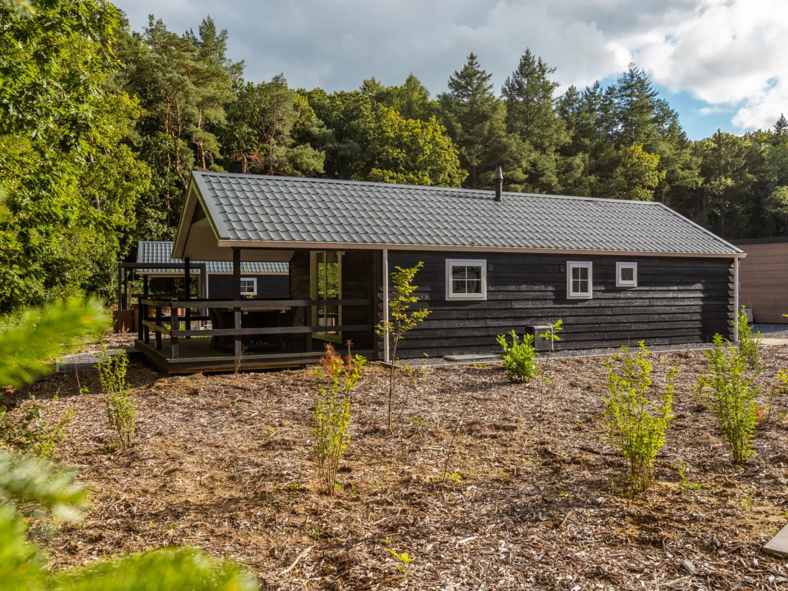 Vakantiepark De Wiltzangh - Veenborg Lodge - Dehors