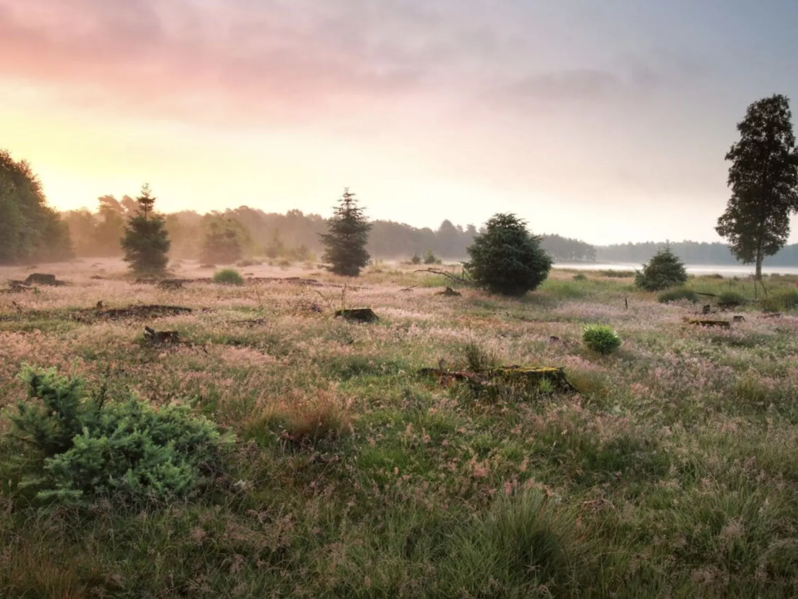 Vakantiepark De Wiltzangh - Tiny Borg - Outside