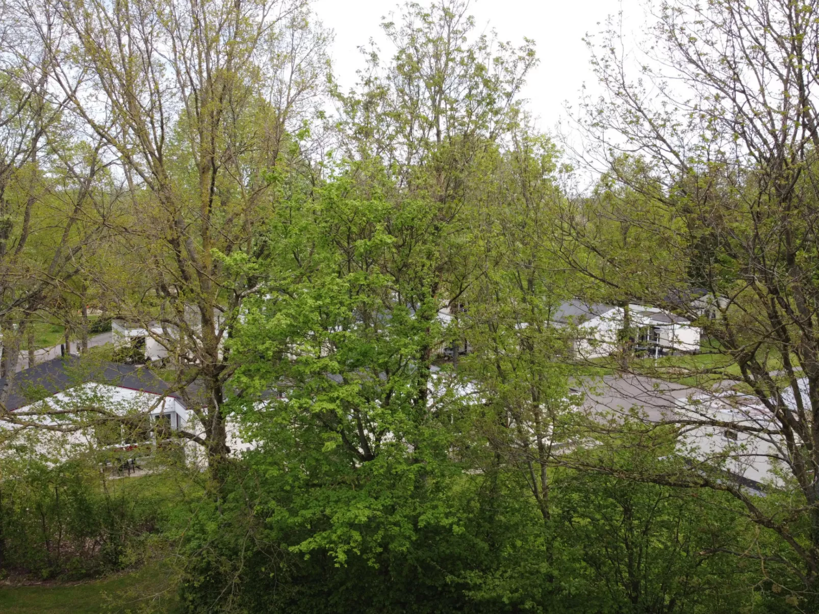 Bungalowpark Simpelveld - Schakel 6 - Dehors