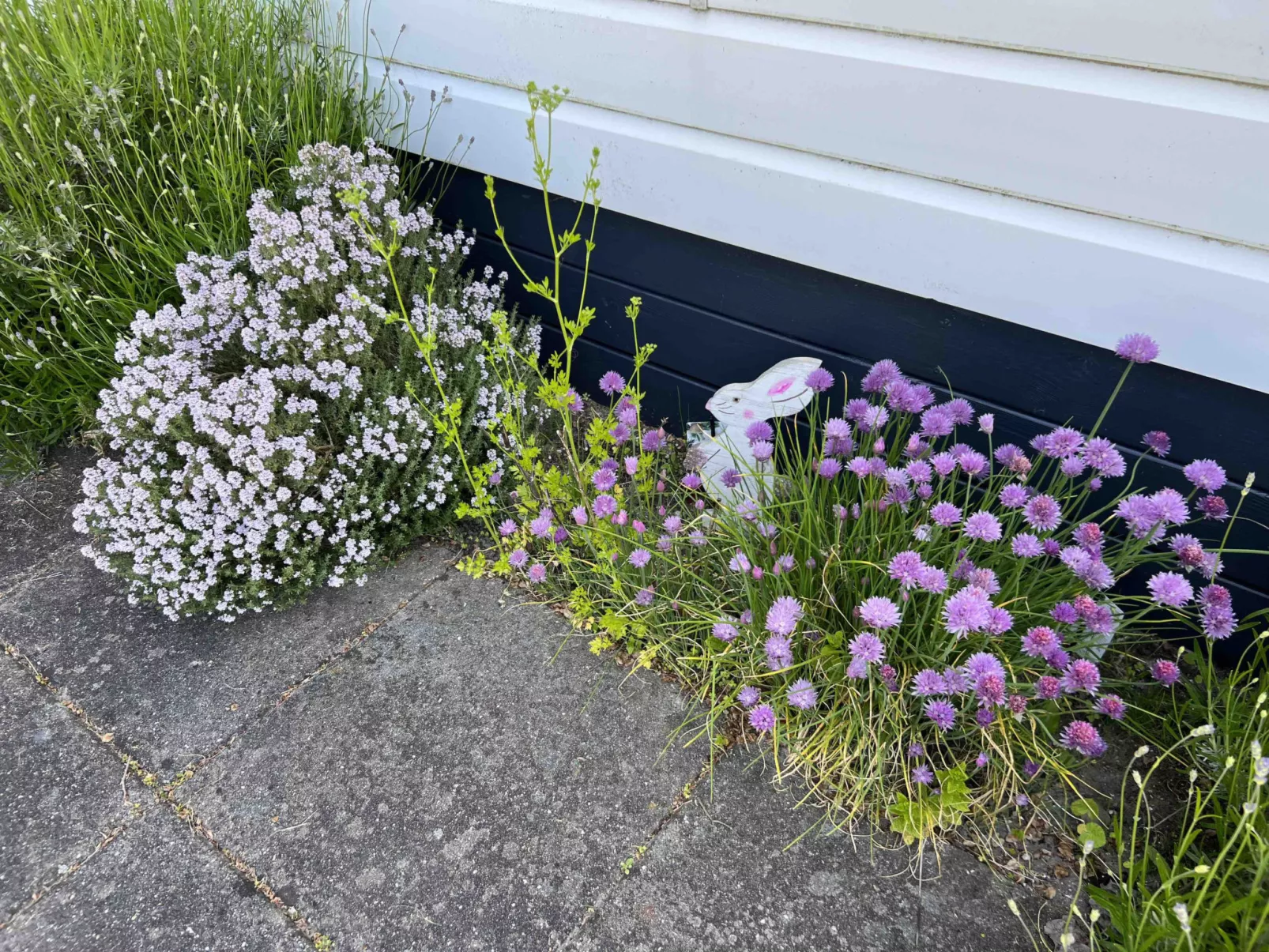 Beach Resort Nieuwvliet Bad - 1204 - Dehors