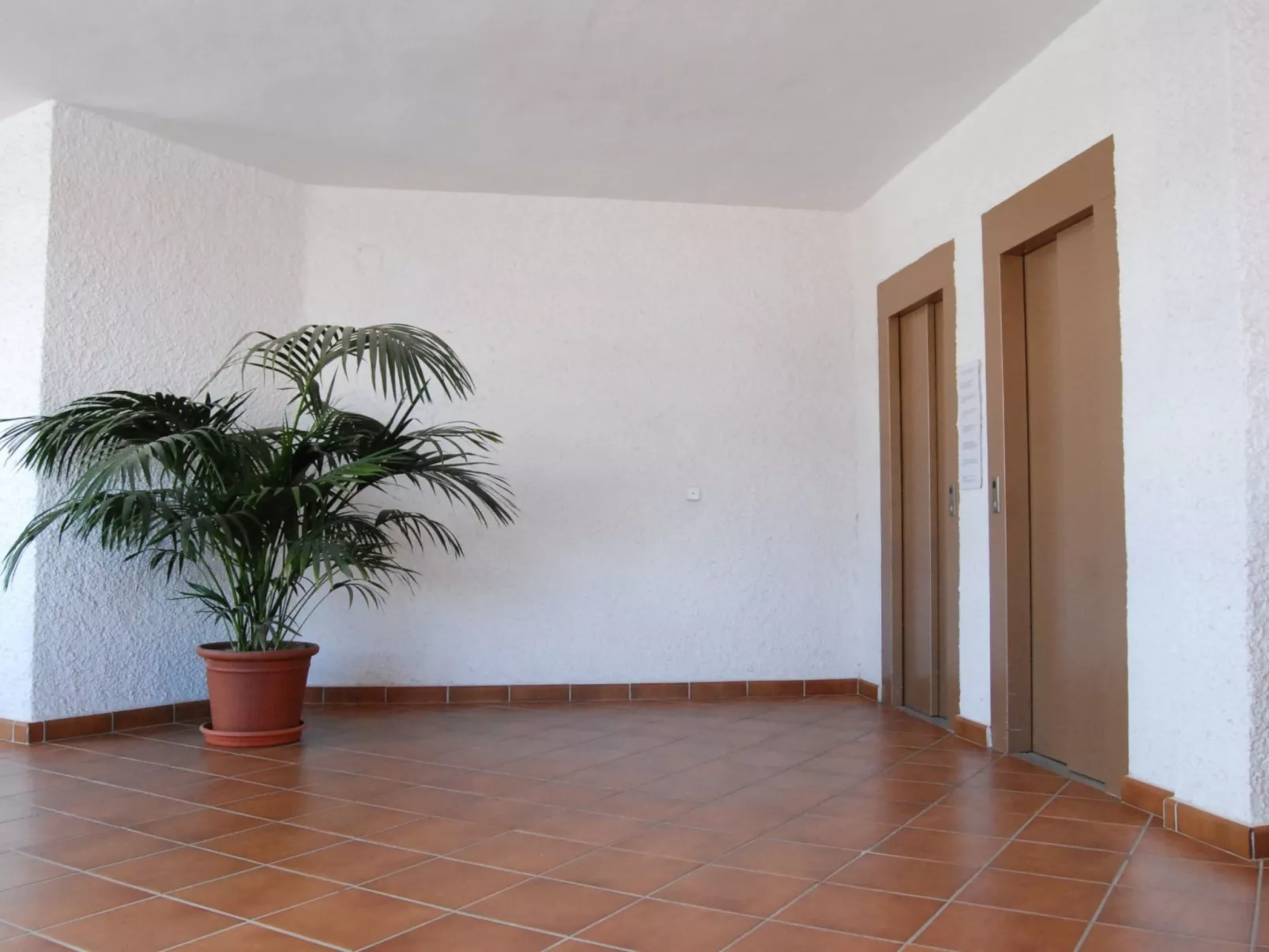 Carabeo 50 Apartment by Casasol - Inside