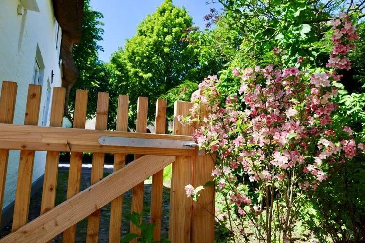 Kapteins Hüüs - ganzes Haus-Gardens summer