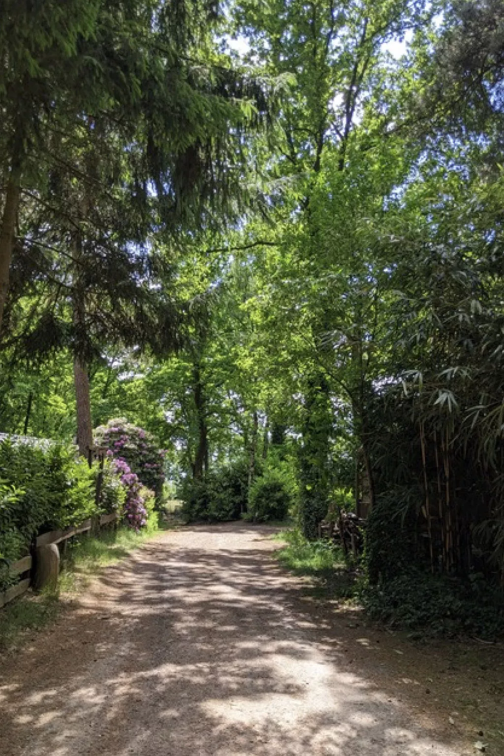 Chaletpark Kempenbos - 73 - Dehors
