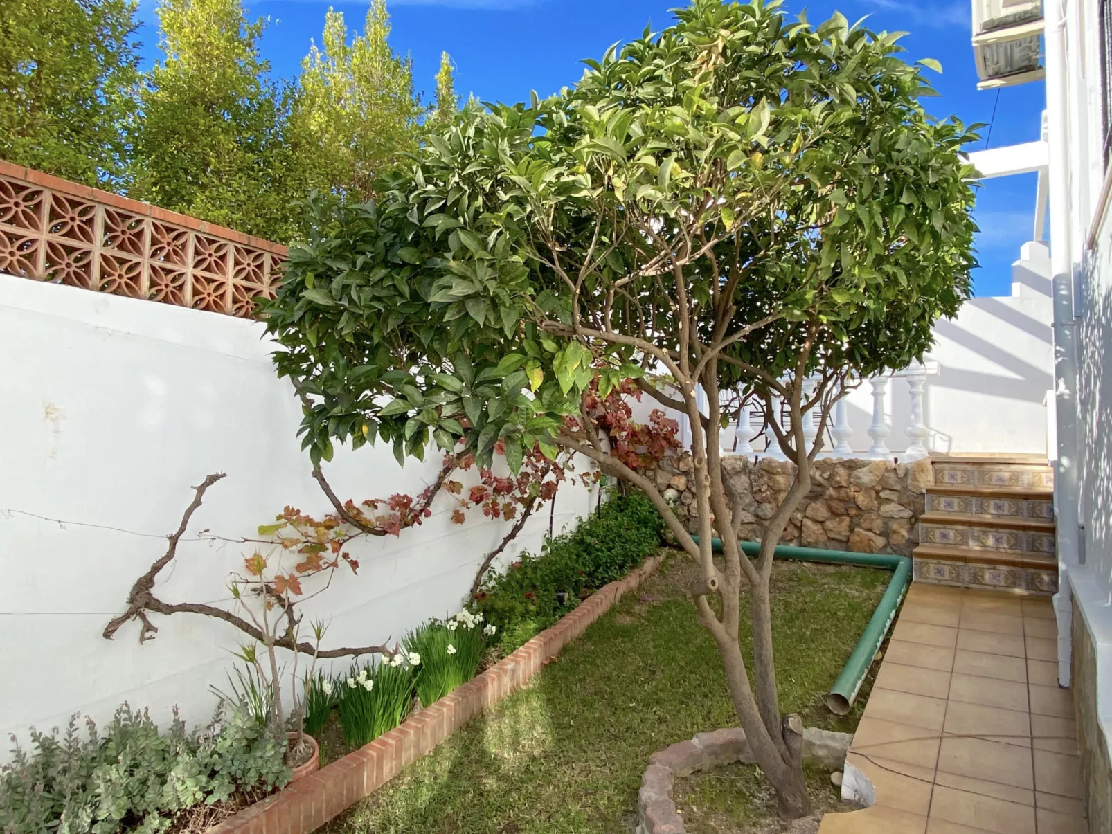 Villa Sandra Little Haven Apartment by Casasol - Draußen