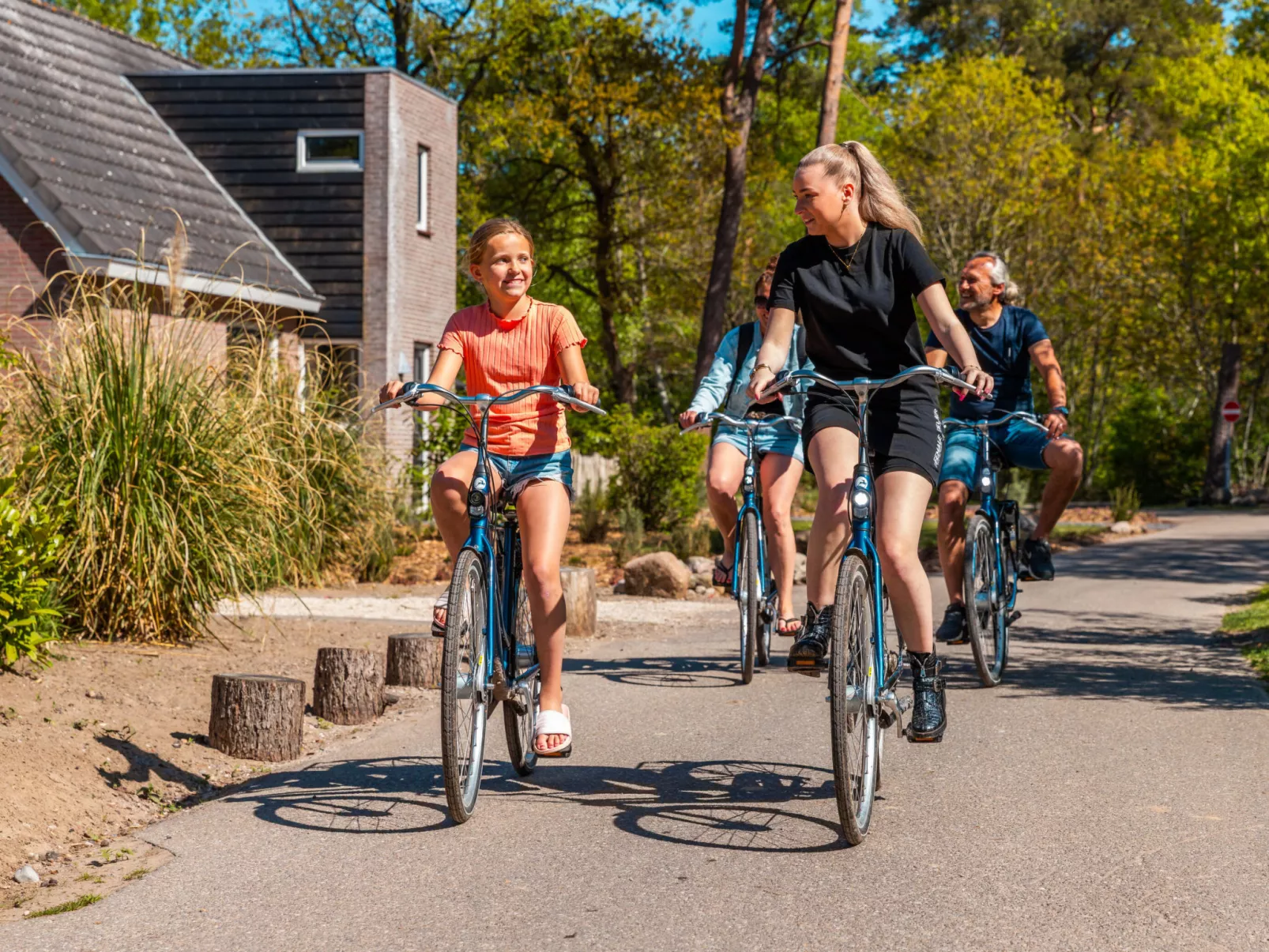 Vakantiepark De Wiltzangh - Veenborg Lodge - Dehors