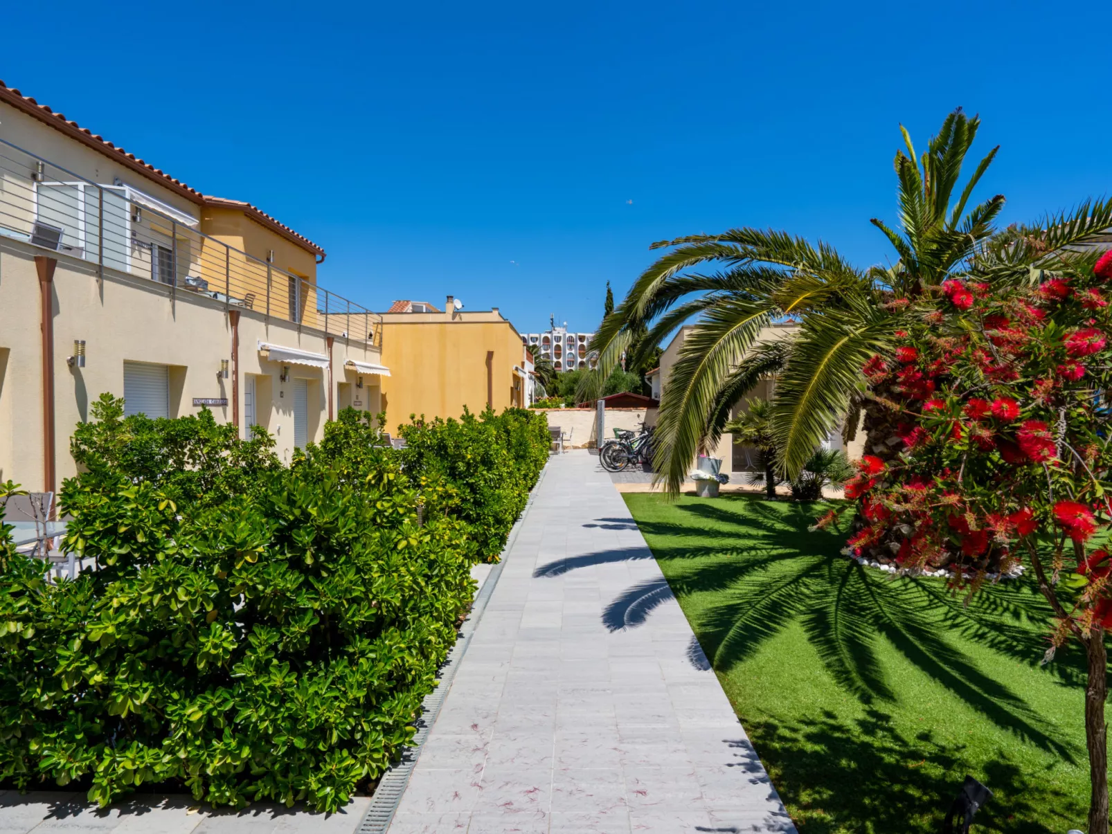 La Vida Sin Limites G EMP - Outside