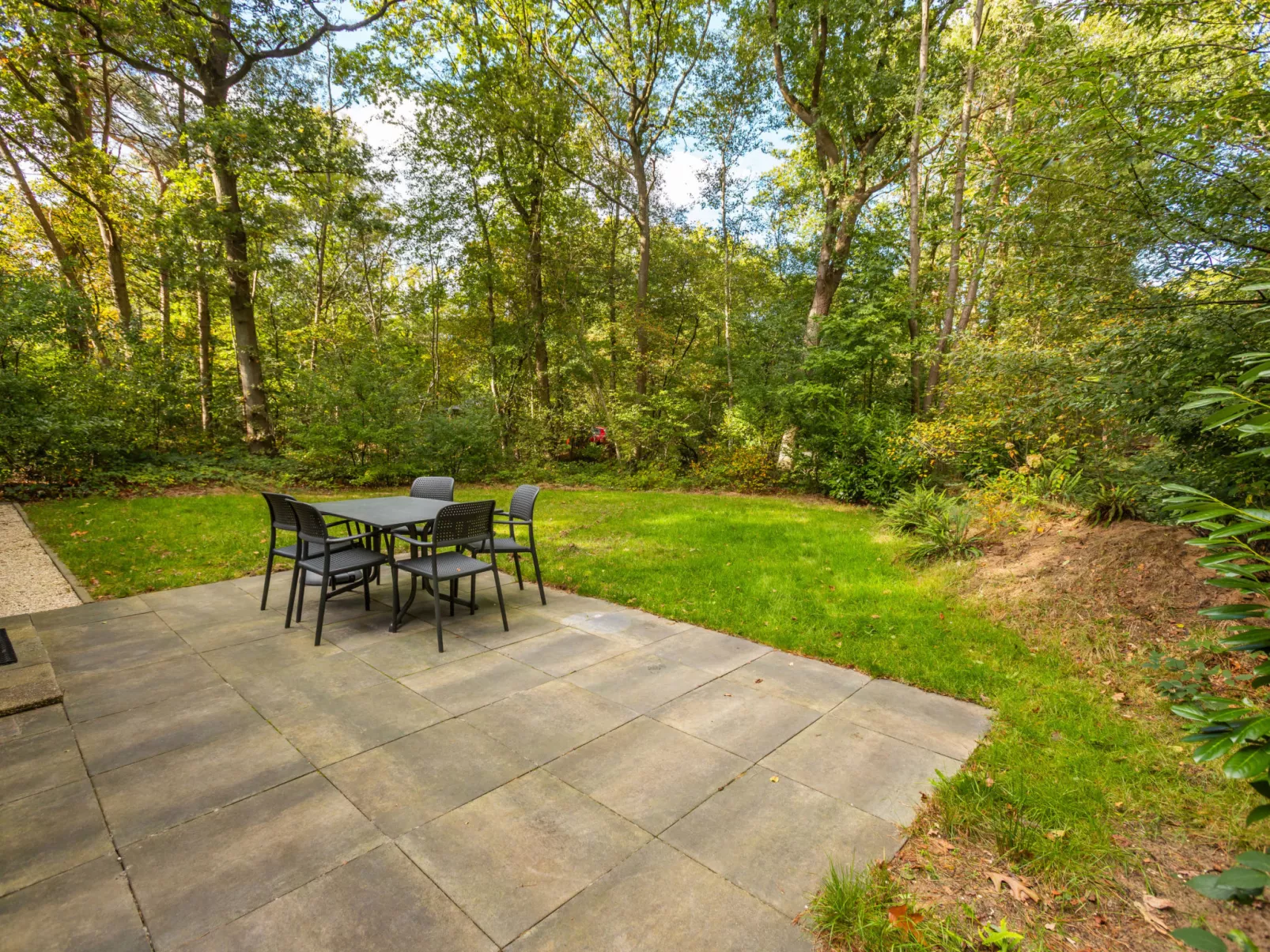 Vakantiepark De Wiltzangh - Sterrenborg Lodge - Dehors