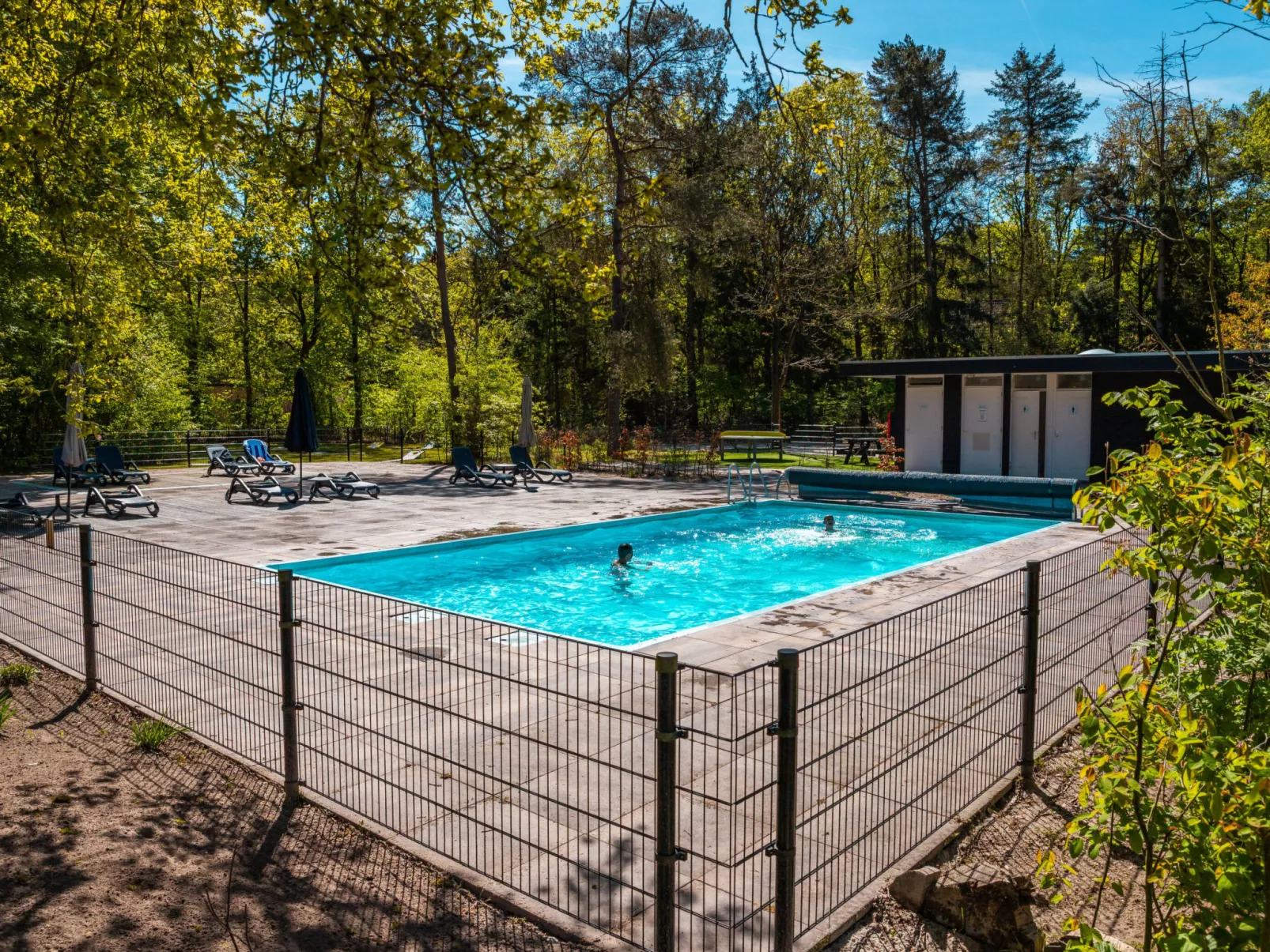 Vakantiepark De Wiltzangh - Veenborg Lodge - Dehors