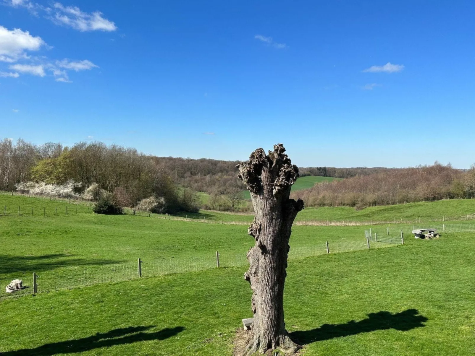 Bungalowpark Landsrade - Geschakelde Bungalow 7 - Dehors