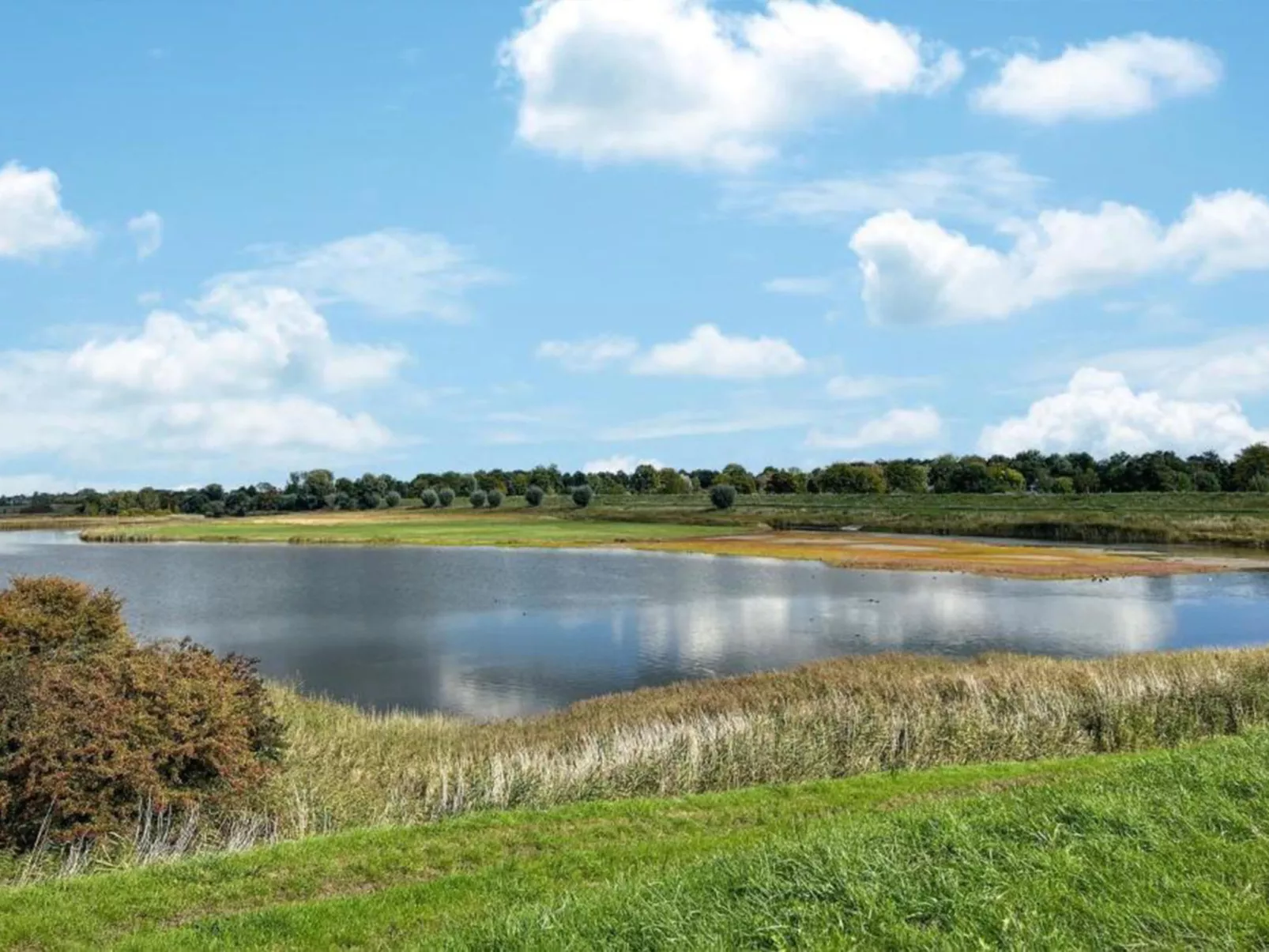 Vakantiepark de Zeeuwse Parel - De Witte Parel - Draußen