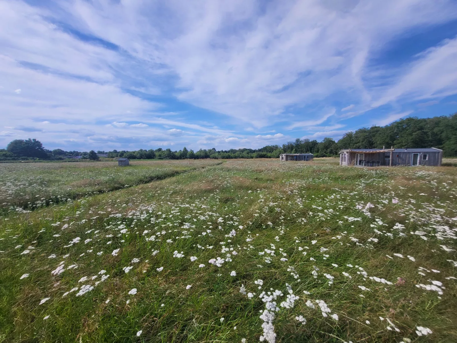 Hoeve Twente - De Oeverzwaluw - Draußen