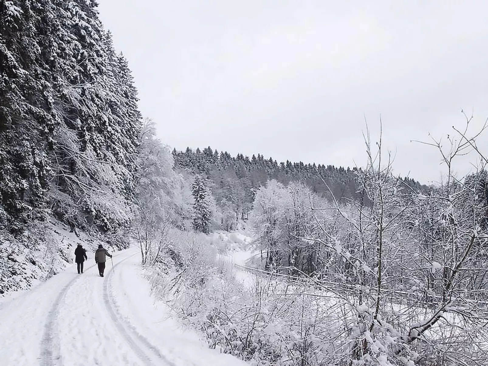 Engelenhof Winterberg - Monica - Dehors