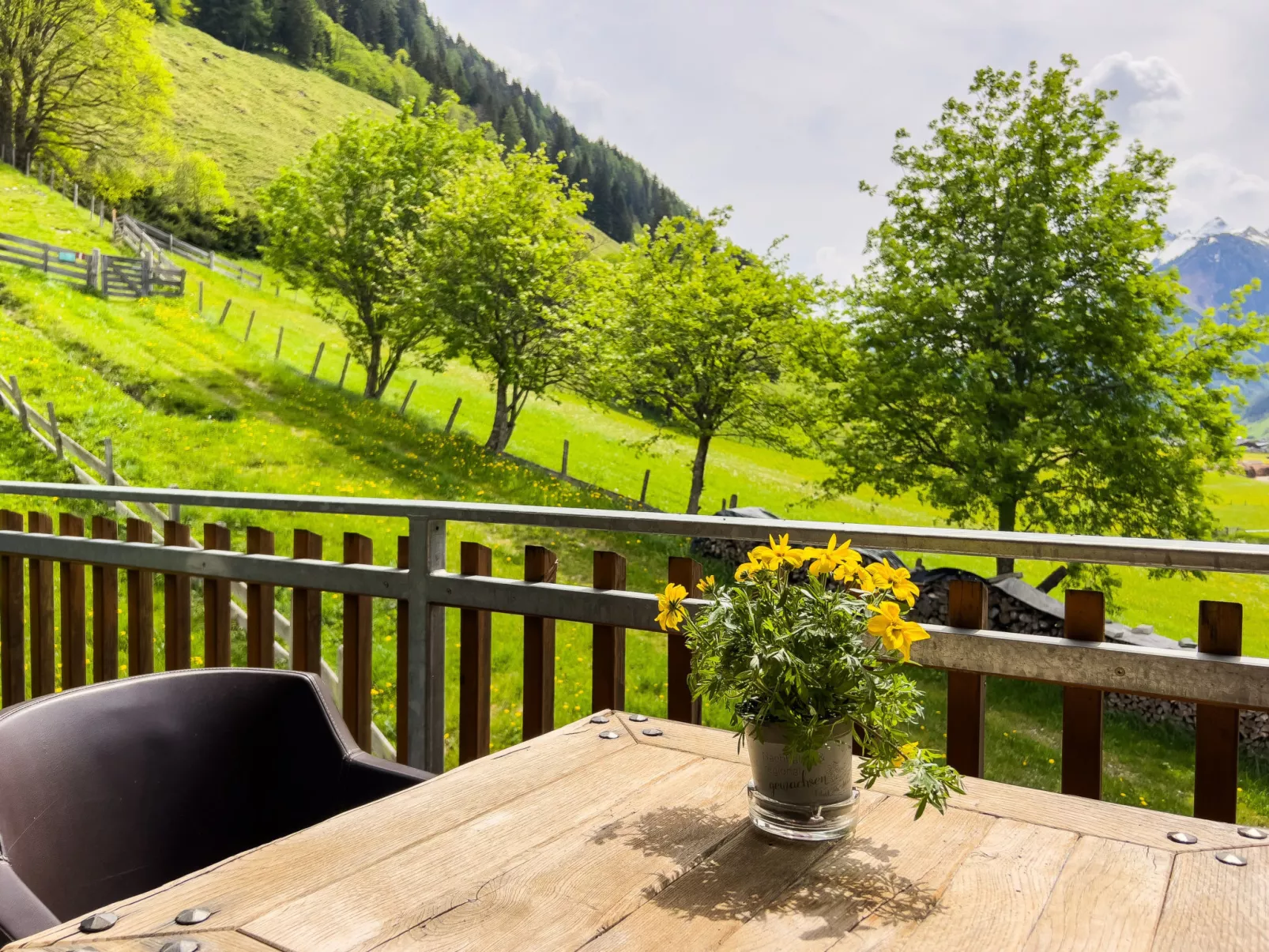 Schönblick - Elisabeth 6 - Outside