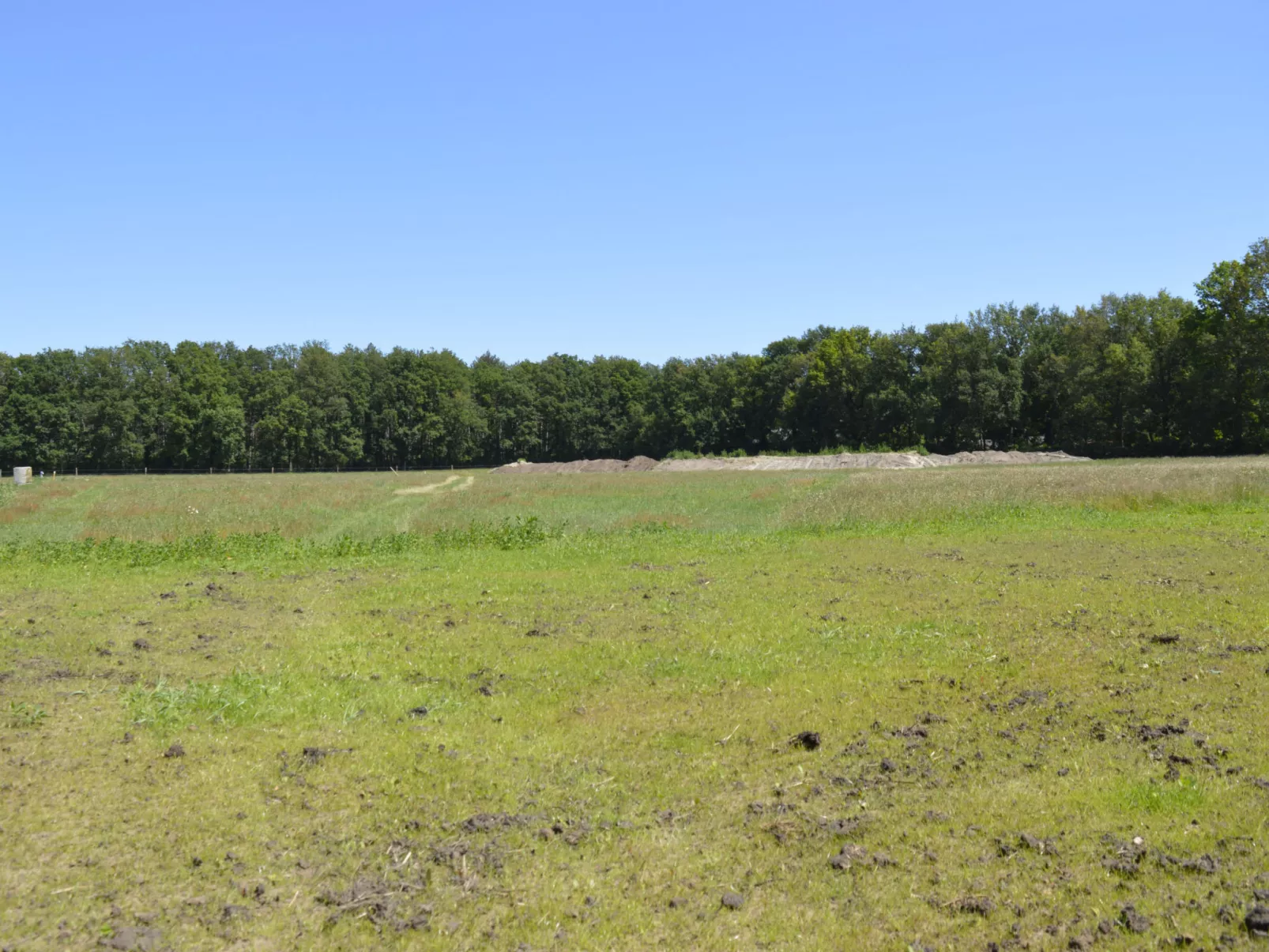 Hoeve Twente - De Oeverzwaluw - Draußen