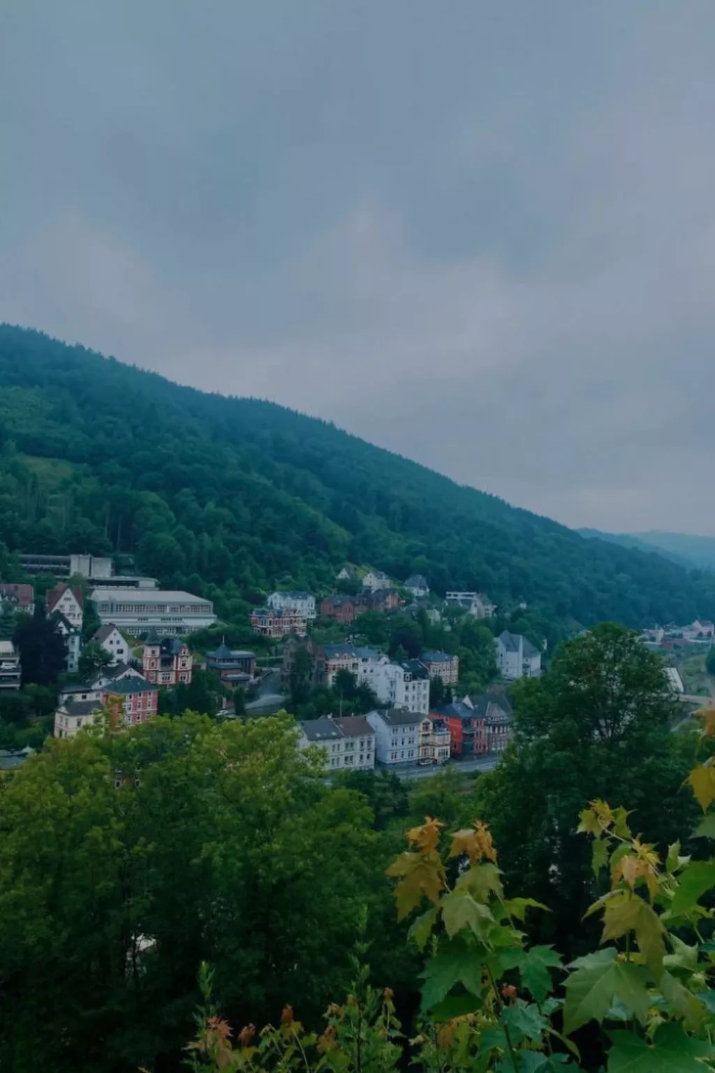 Engelenhof Winterberg - Monica - Dehors