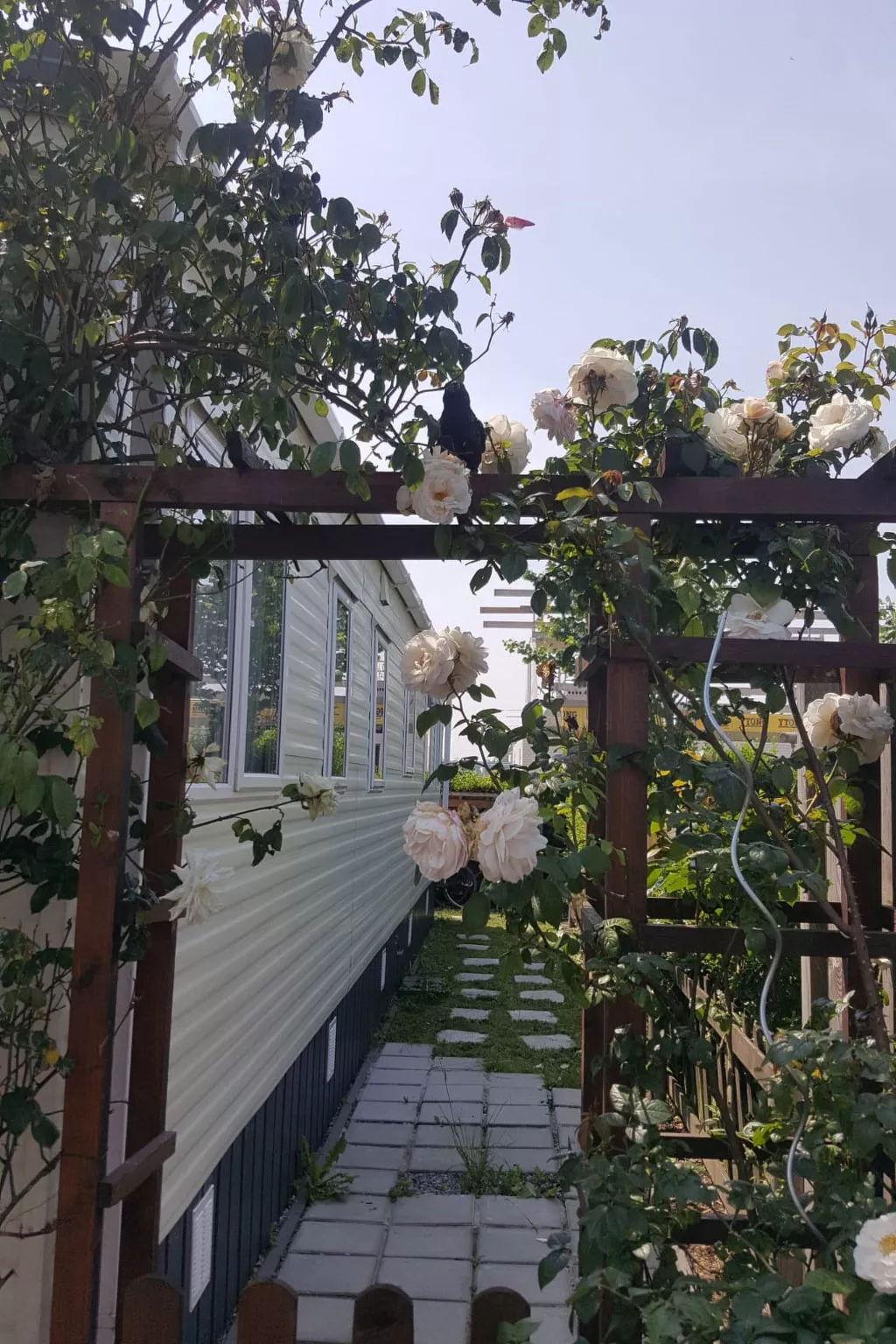 NV 102 - Beach Resort Nieuwvliet Bad - Dehors