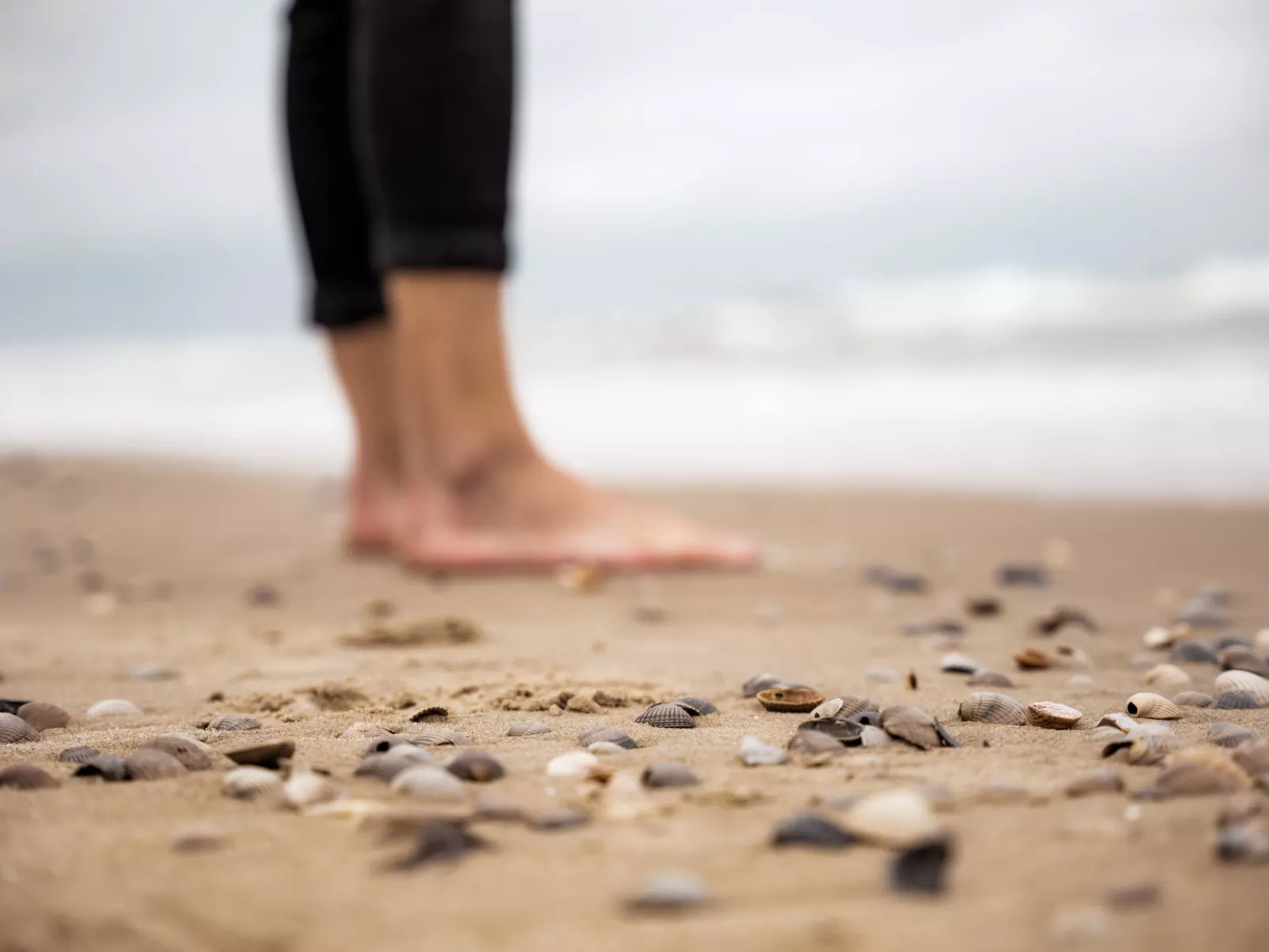 NV 10 - Beach Resort Nieuwvliet Bad - Dehors