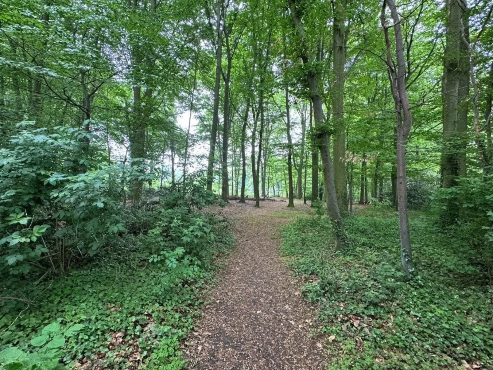 Bungalowpark Landsrade - Geschakelde Bungalow 25 - Dehors