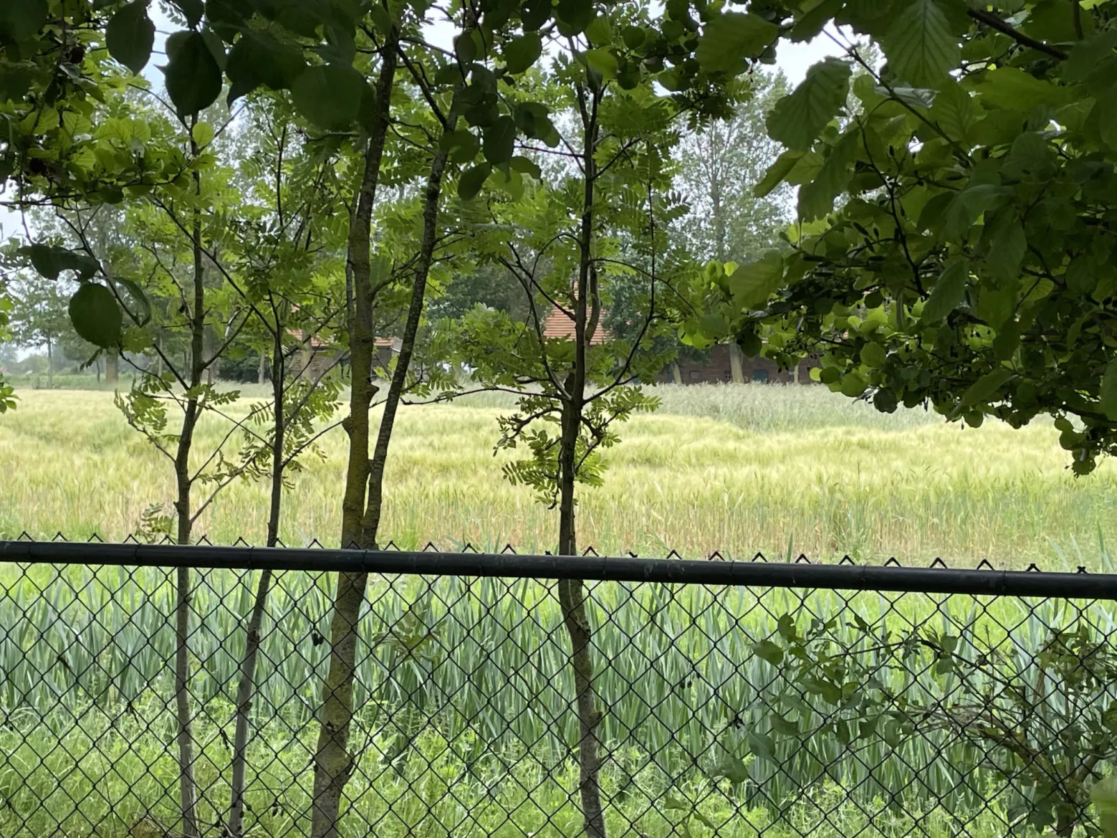 NV 1243 - Beach Resort Nieuwvliet Bad - Dehors