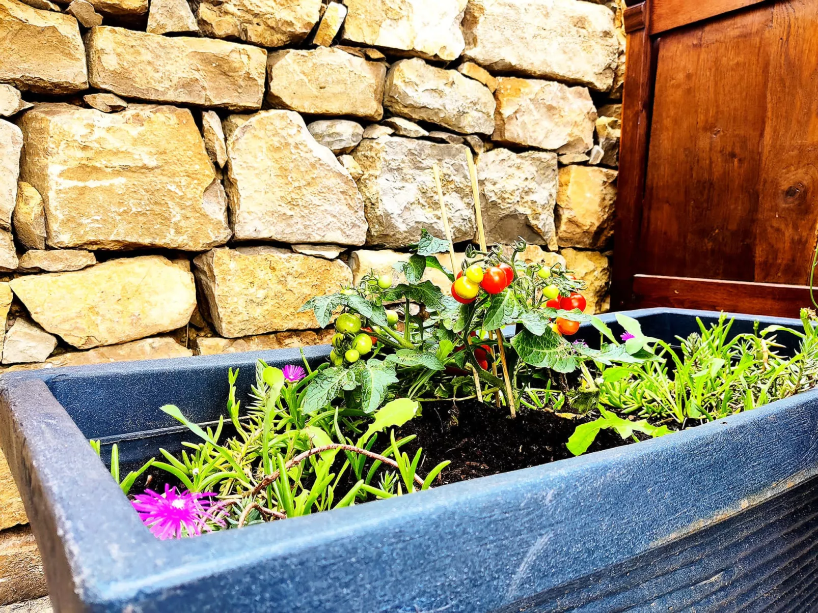 Villa Perroquet - Outside