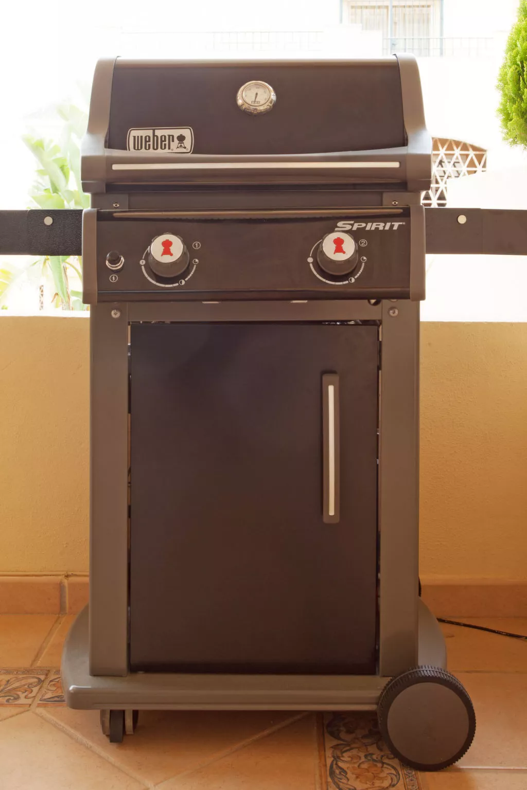 Hacienda Elviria - Dehors