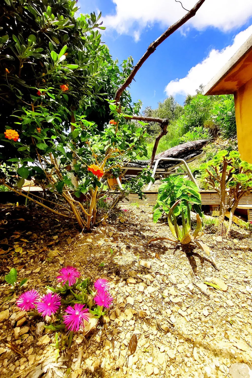 Villa Perroquet - Outside