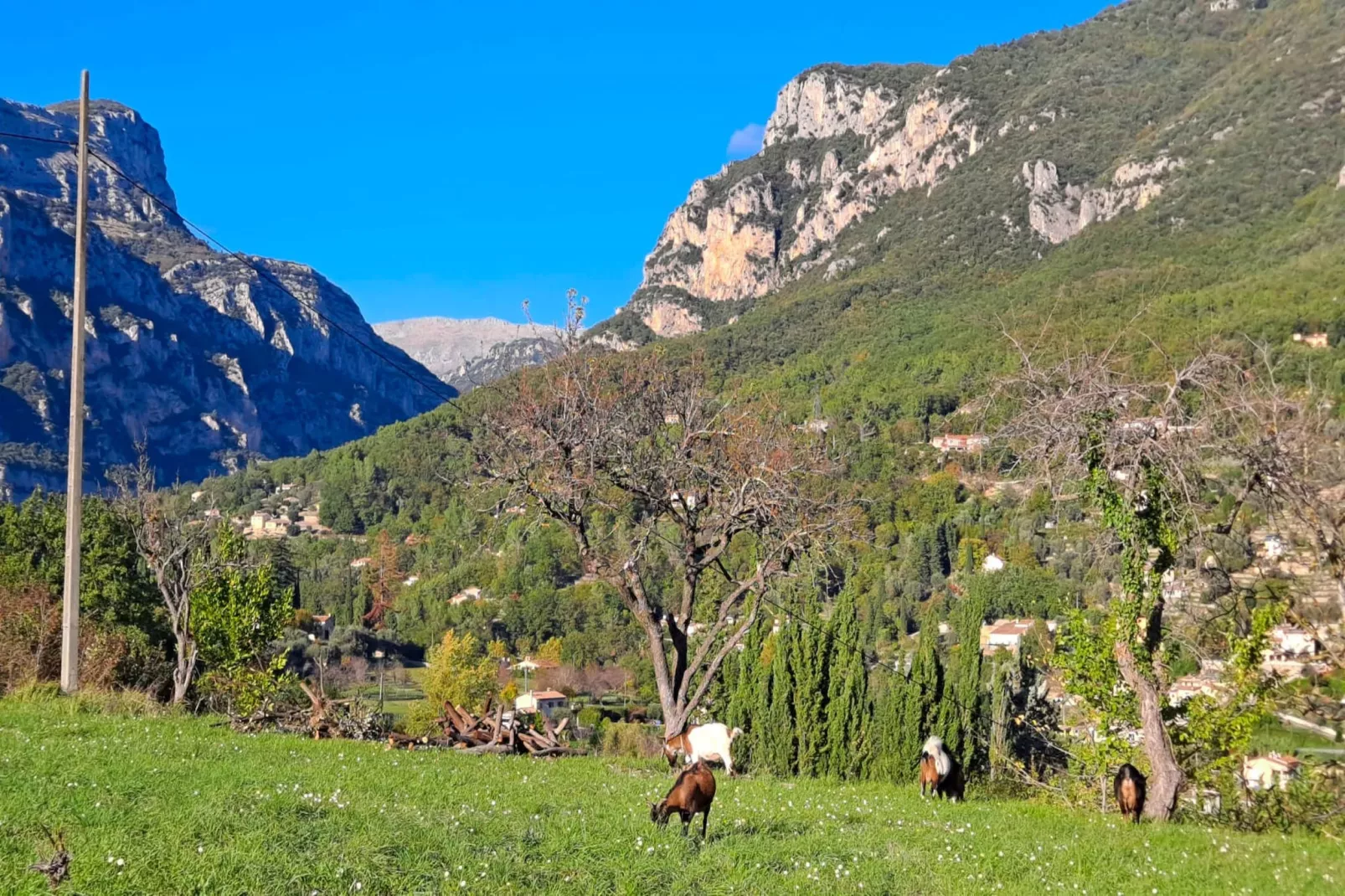La Maison du Paysan - Gebiete Sommer 1 km