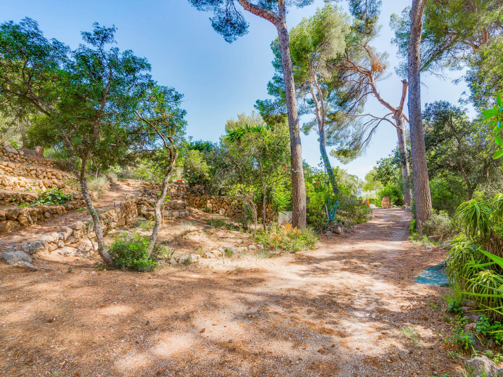 SES ALZINES APARTMENT - Dehors