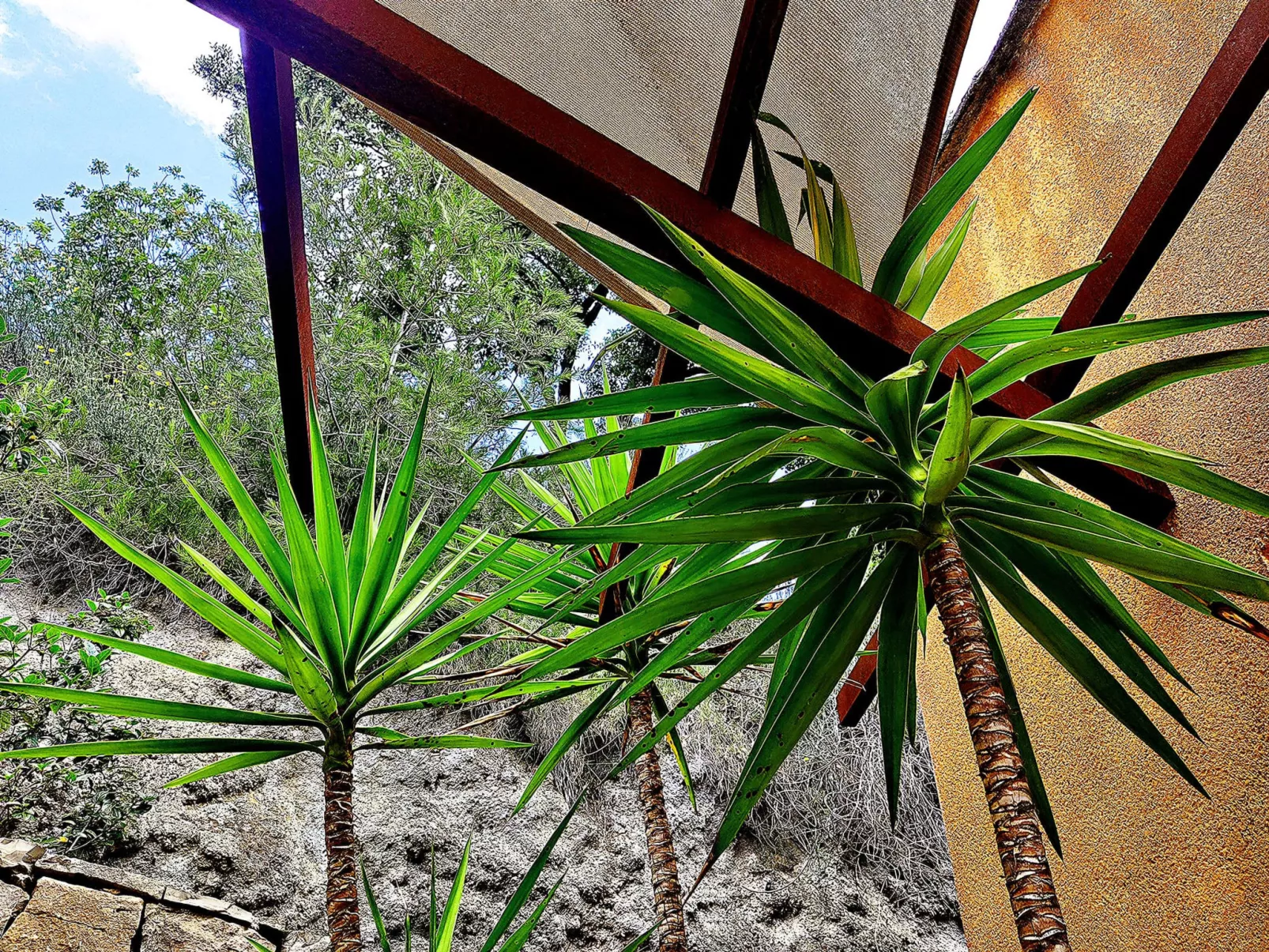 Villa Perroquet - Outside