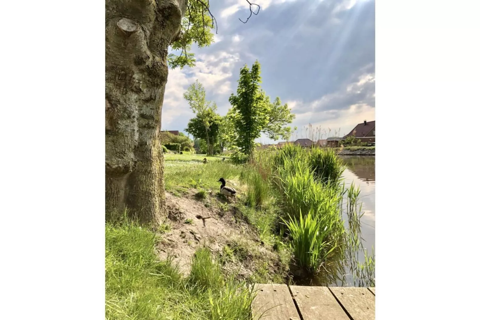 311008 - Aussicht