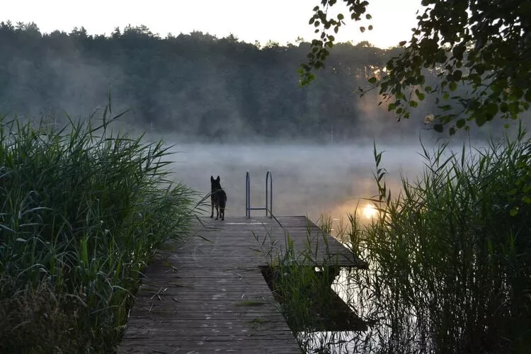 Dom dla 4 os Klępnica-Aussicht