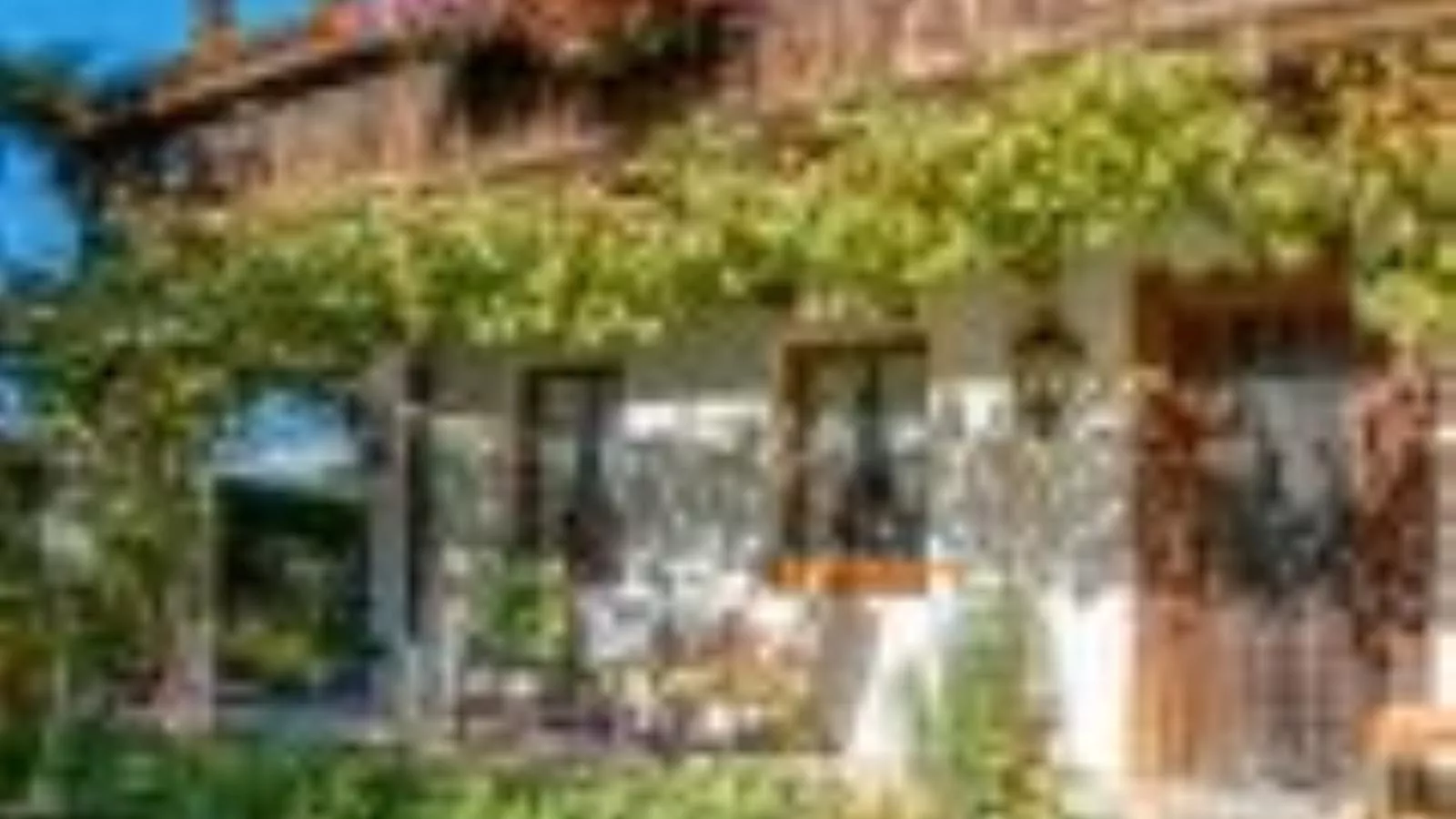 Sonja-Exterior summer